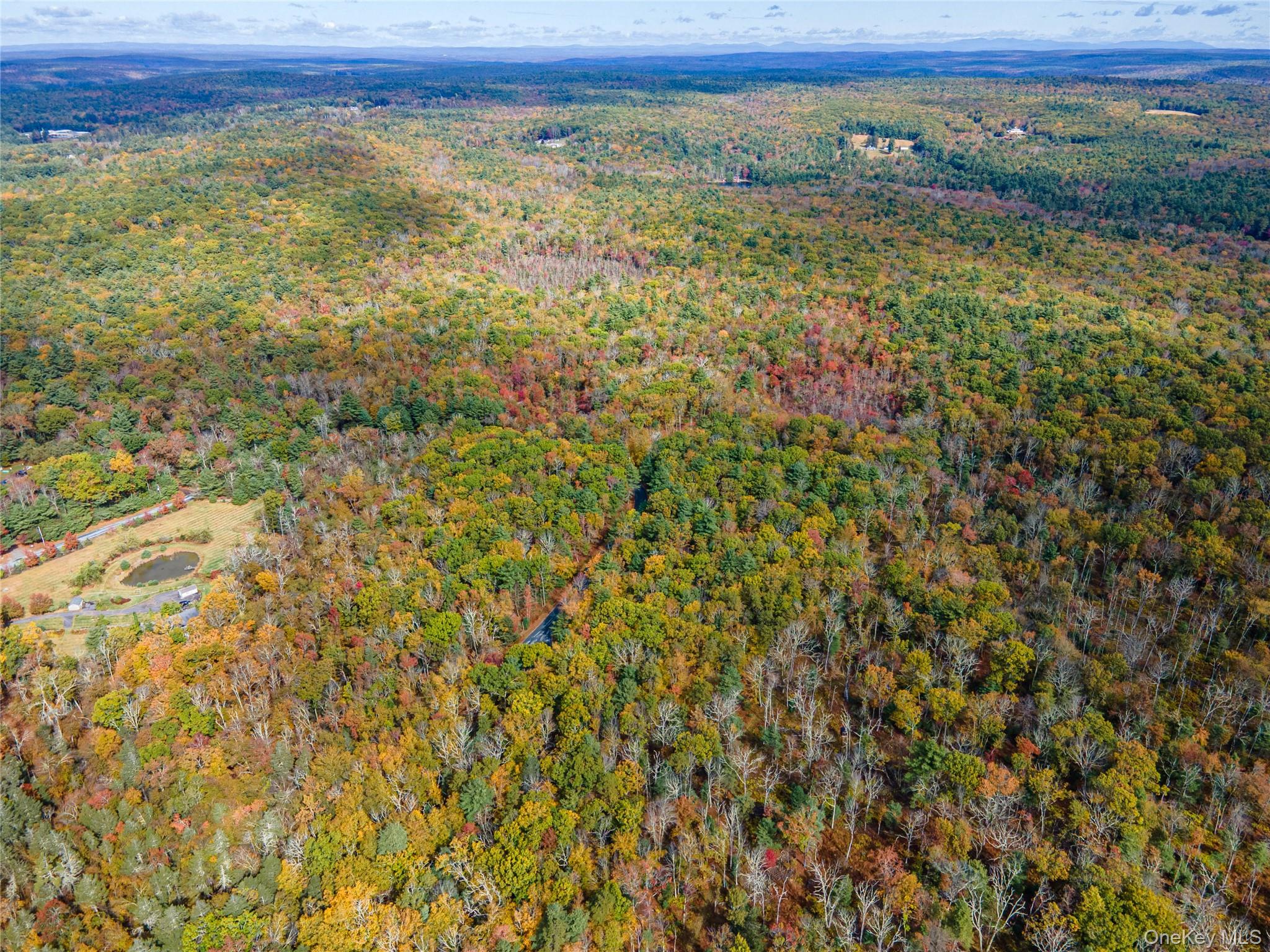 Taras Schevchenko (Lot 23) Road, Glen Spey, NY 12737