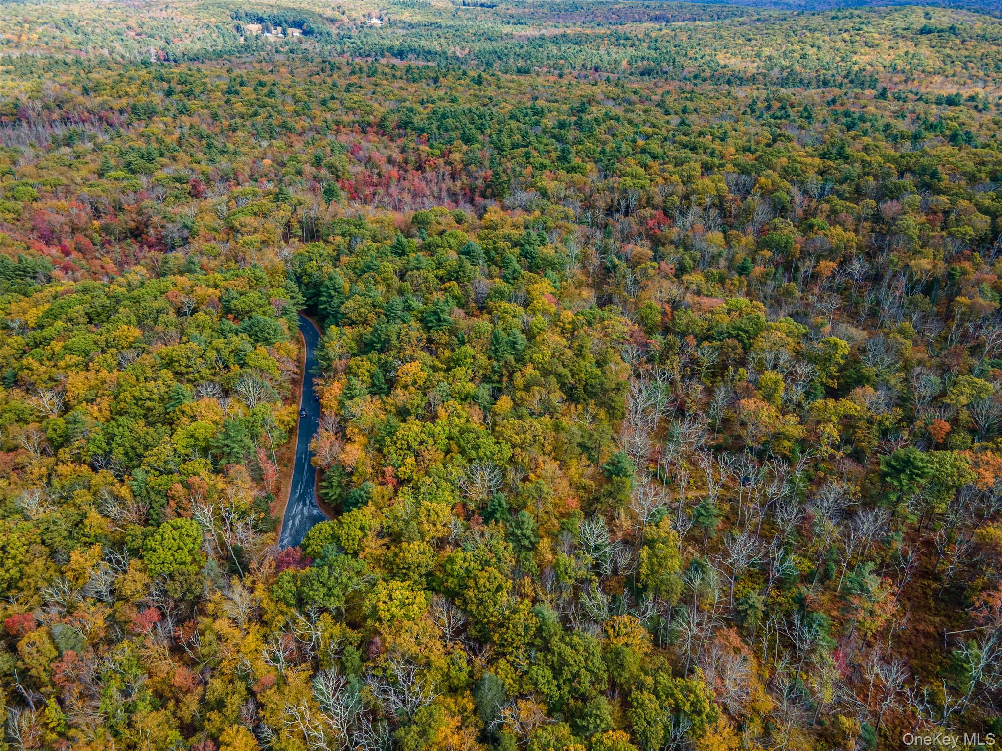 Taras Schevchenko (Lot 23) Road, Glen Spey, NY 12737