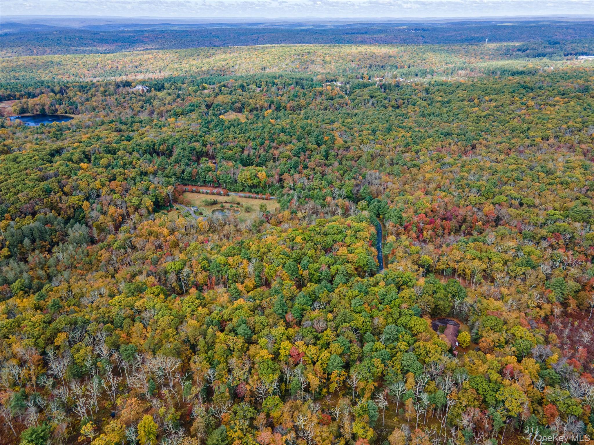 Taras Schevchenko (Lot 23) Road, Glen Spey, NY 12737