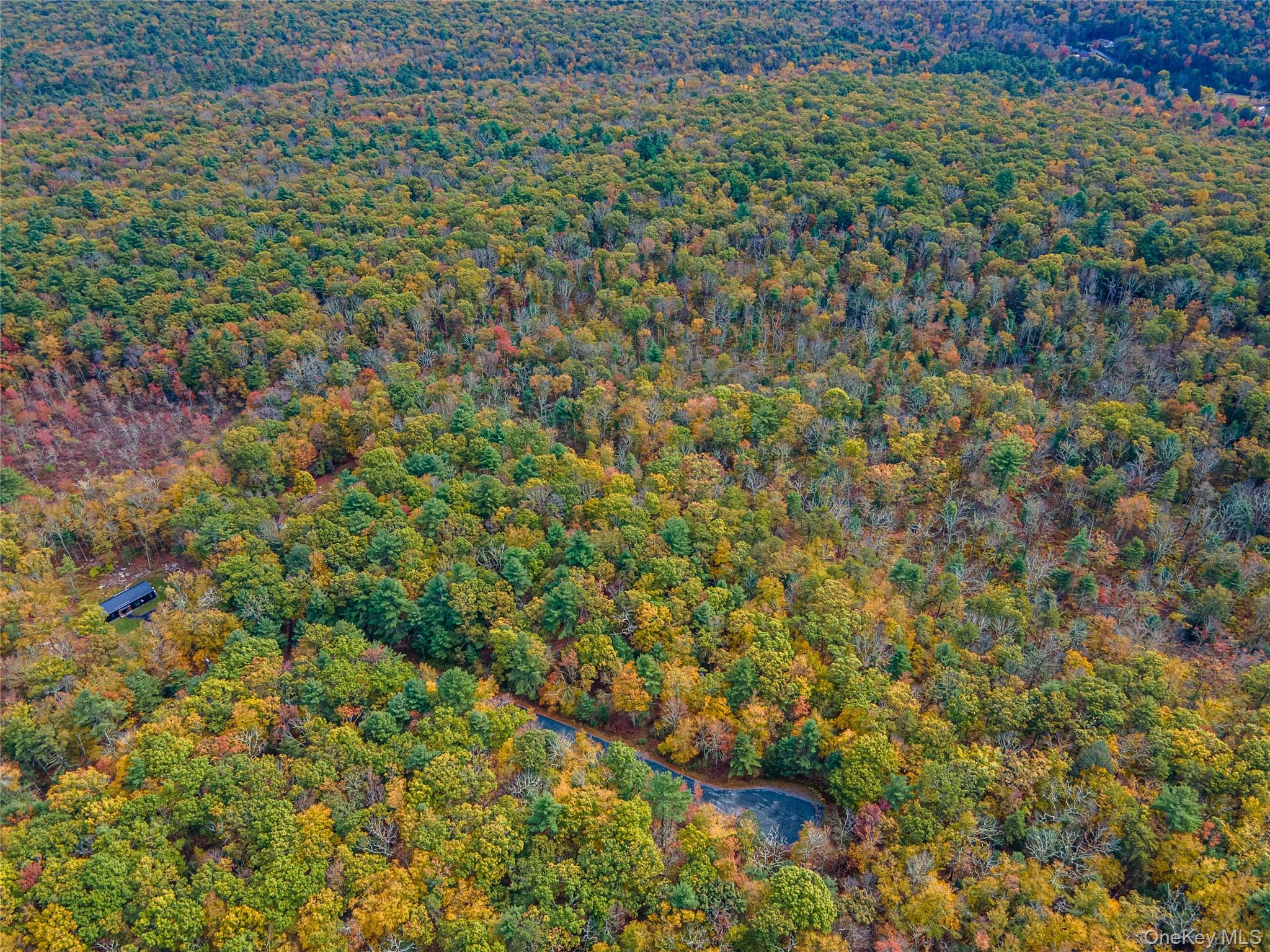 Taras Schevchenko (Lot 23) Road, Glen Spey, NY 12737