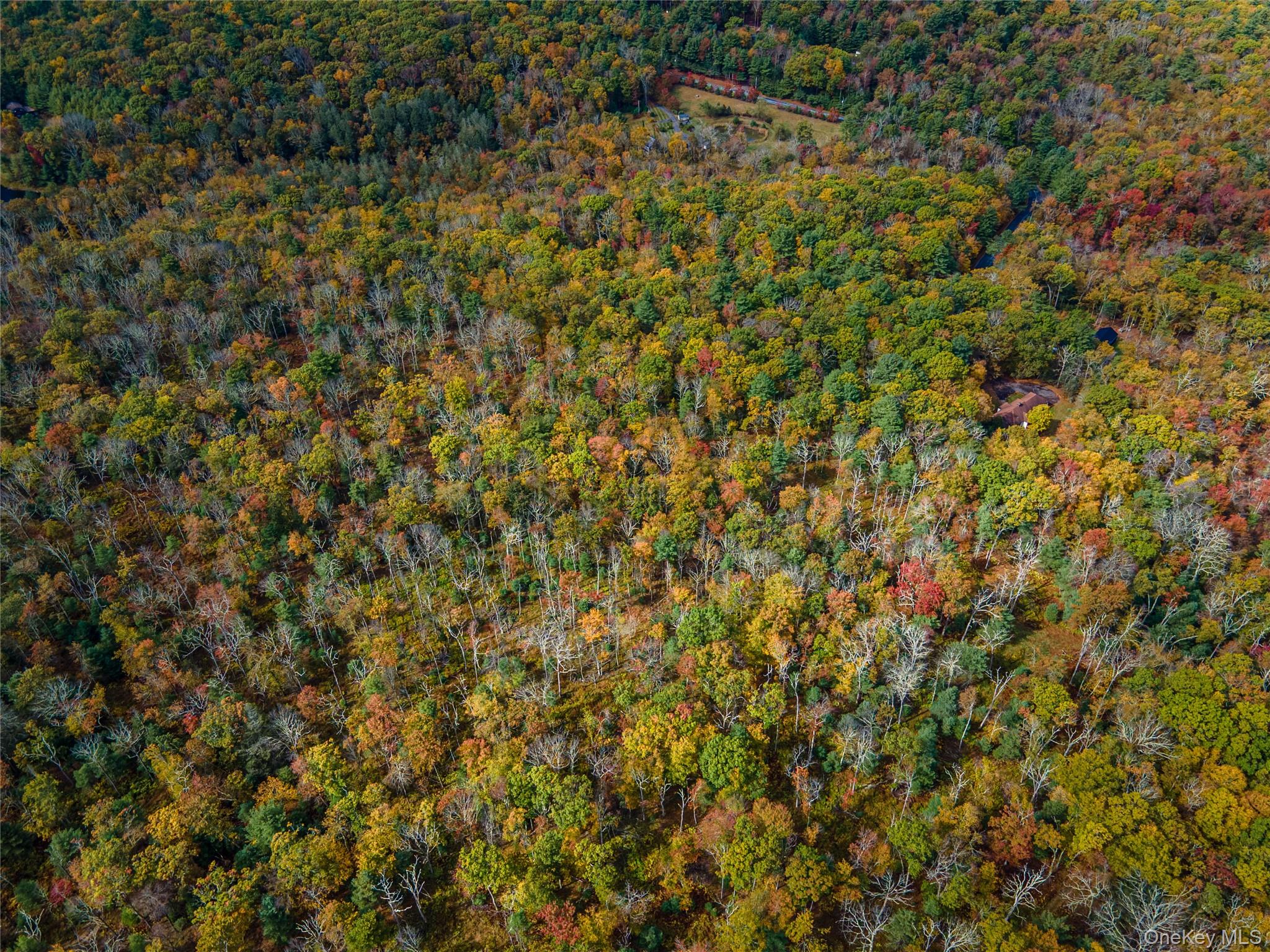 Taras Schevchenko (Lot 23) Road, Glen Spey, NY 12737