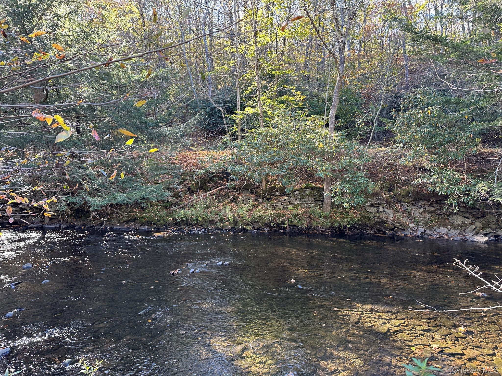 00 Old Route 17, Livingston Manor, NY 12758