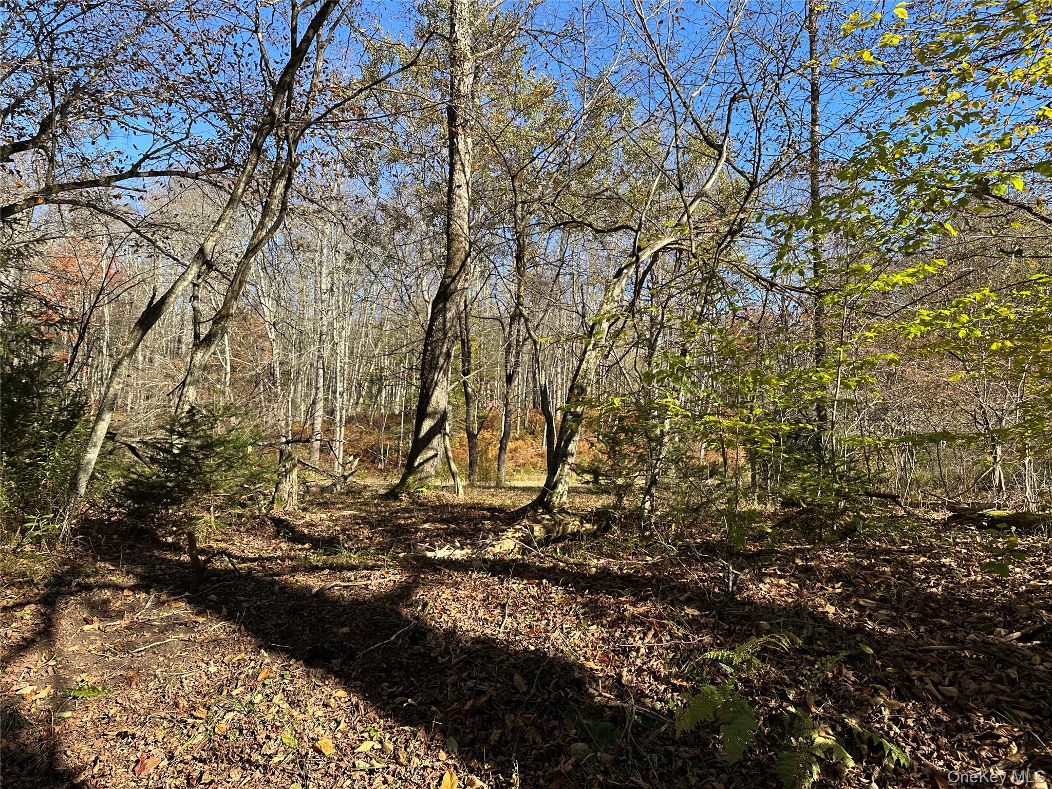 00 Old Route 17, Livingston Manor, NY 12758