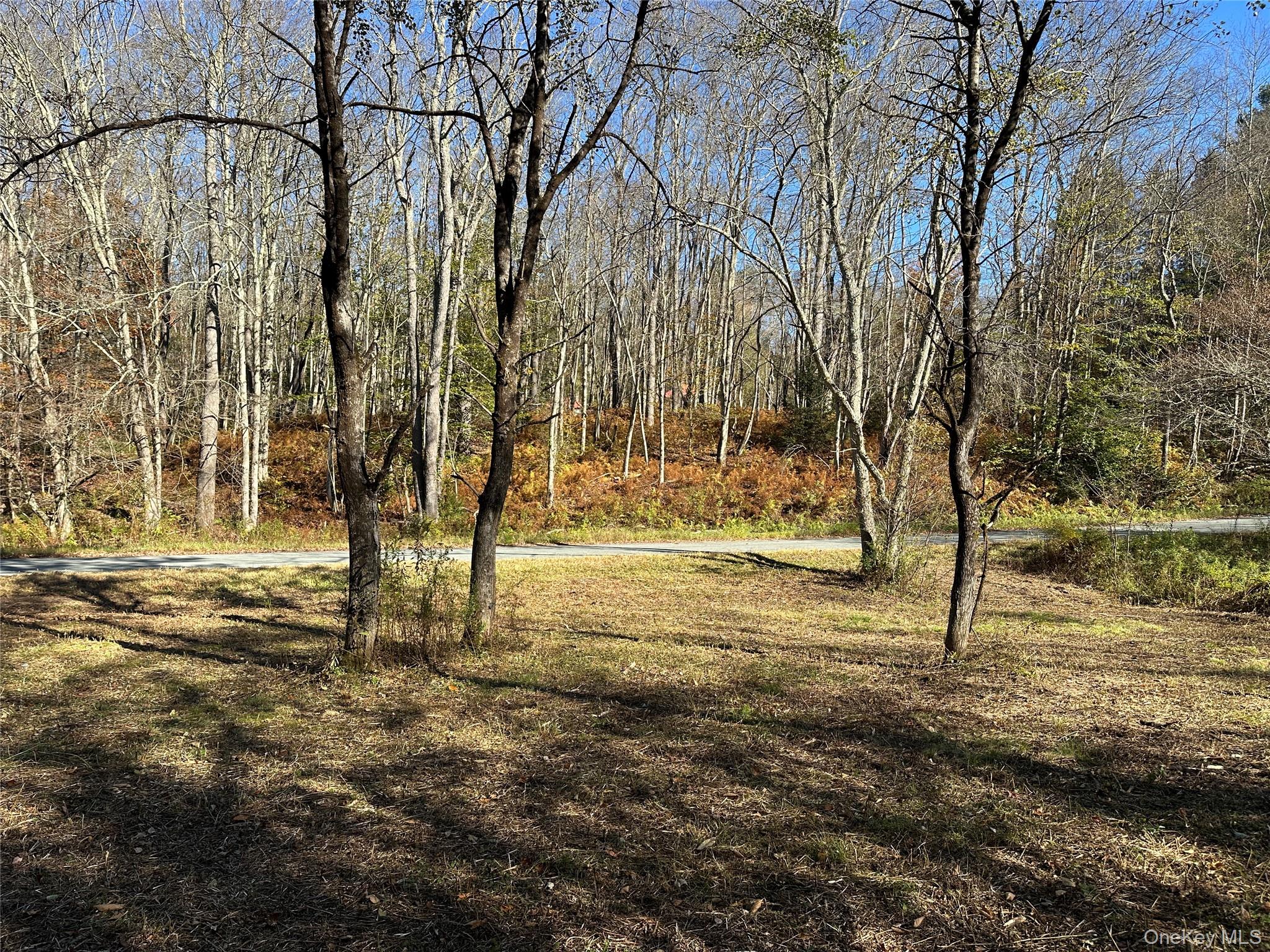 00 Old Route 17, Livingston Manor, NY 12758