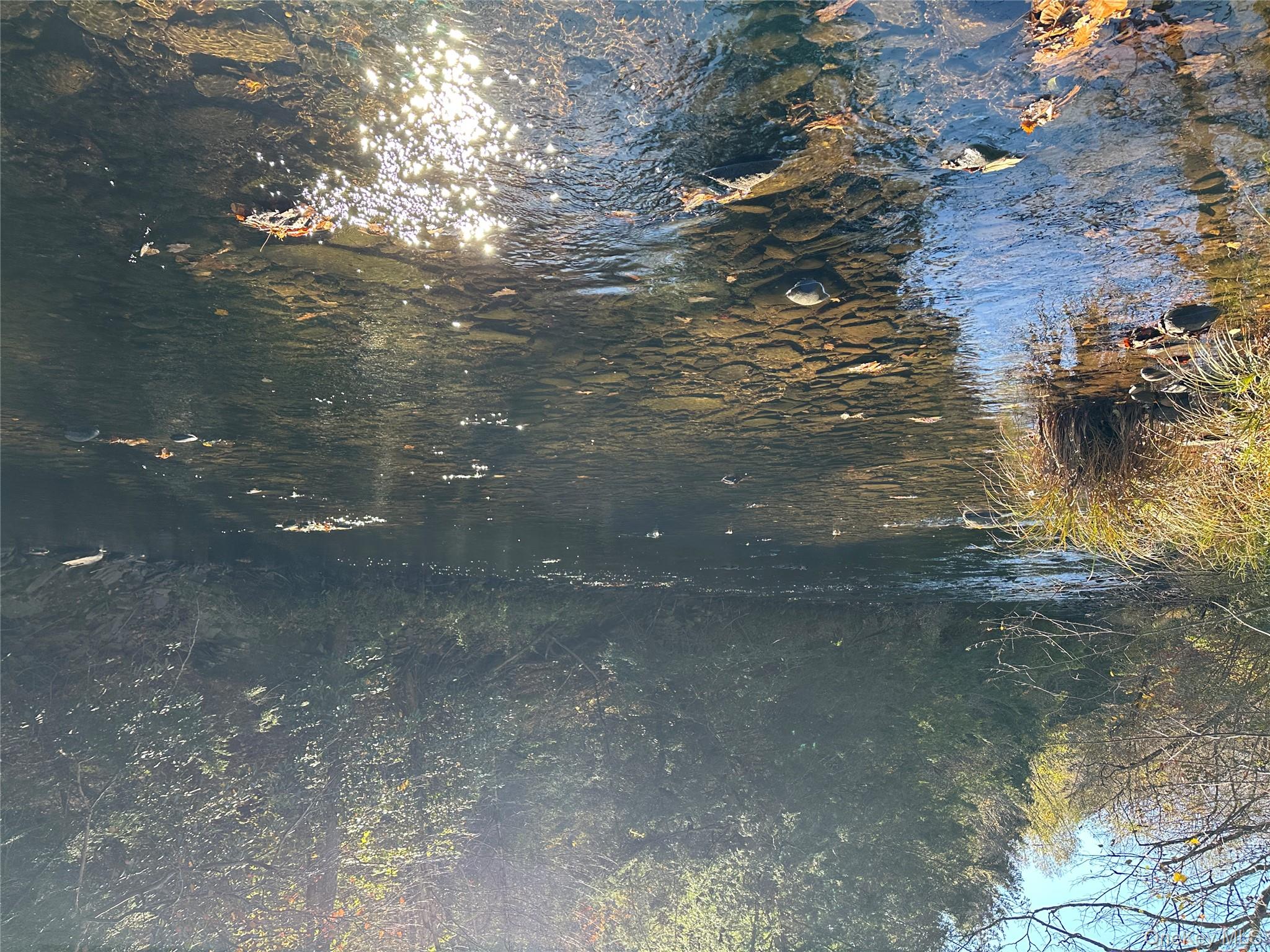 00 Old Route 17, Livingston Manor, NY 12758