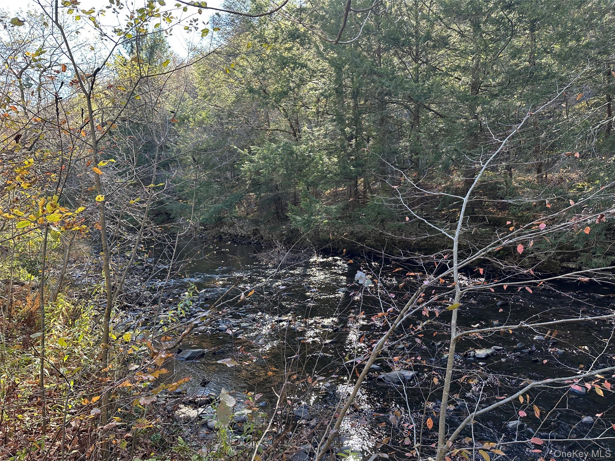 00 Old Route 17, Livingston Manor, NY 12758