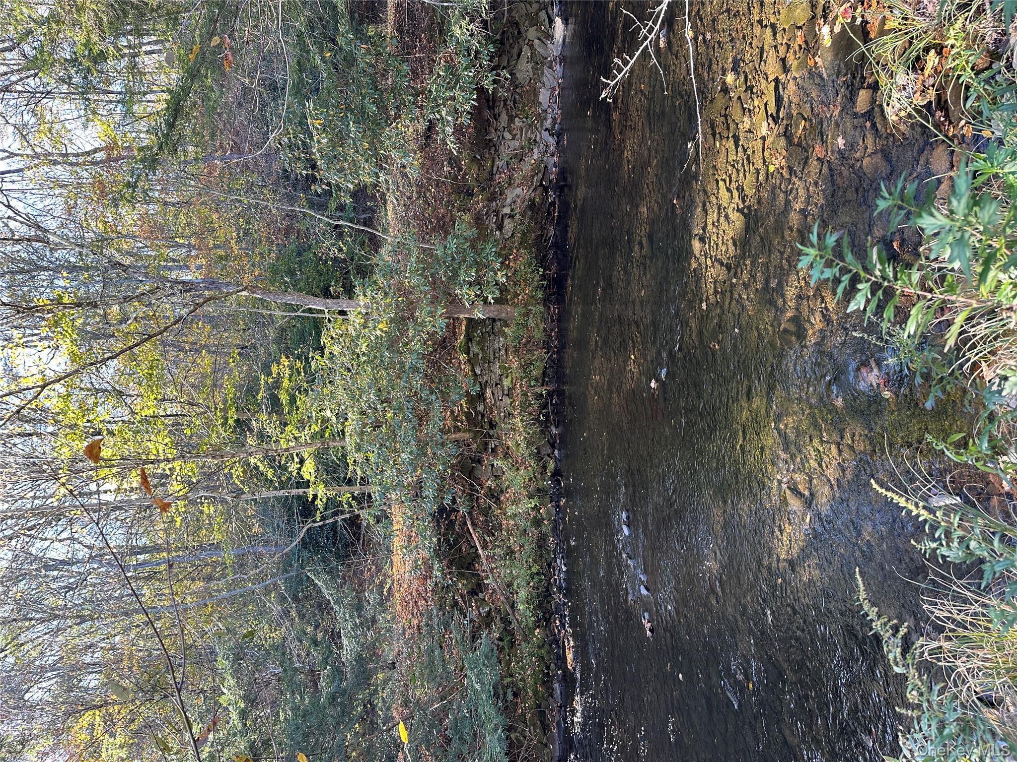 00 Old Route 17, Livingston Manor, NY 12758