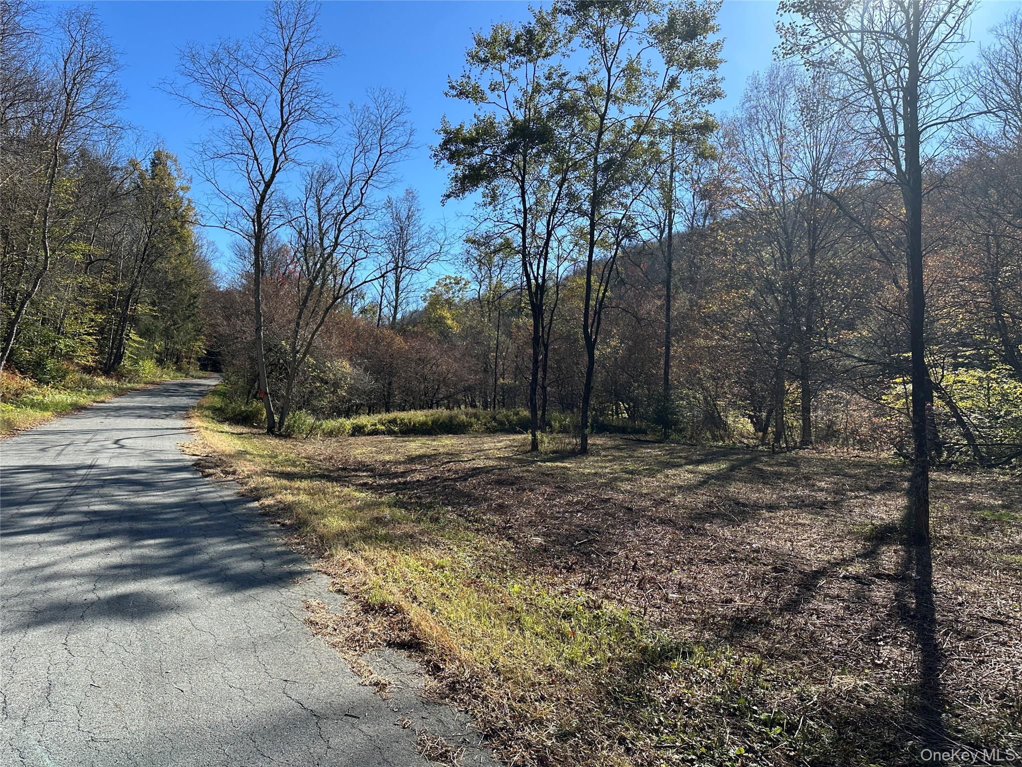 00 Old Route 17, Livingston Manor, NY 12758