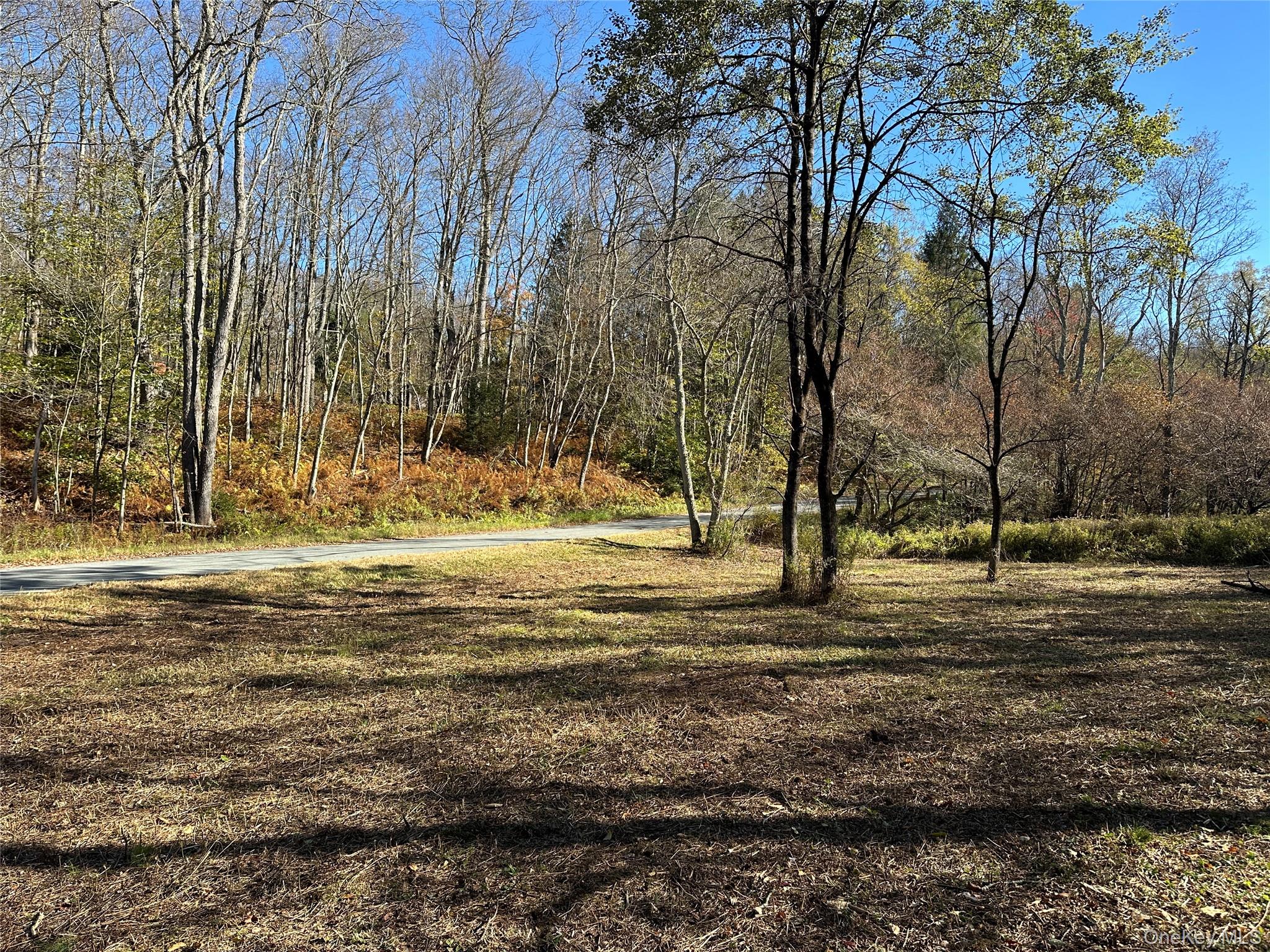 00 Old Route 17, Livingston Manor, NY 12758