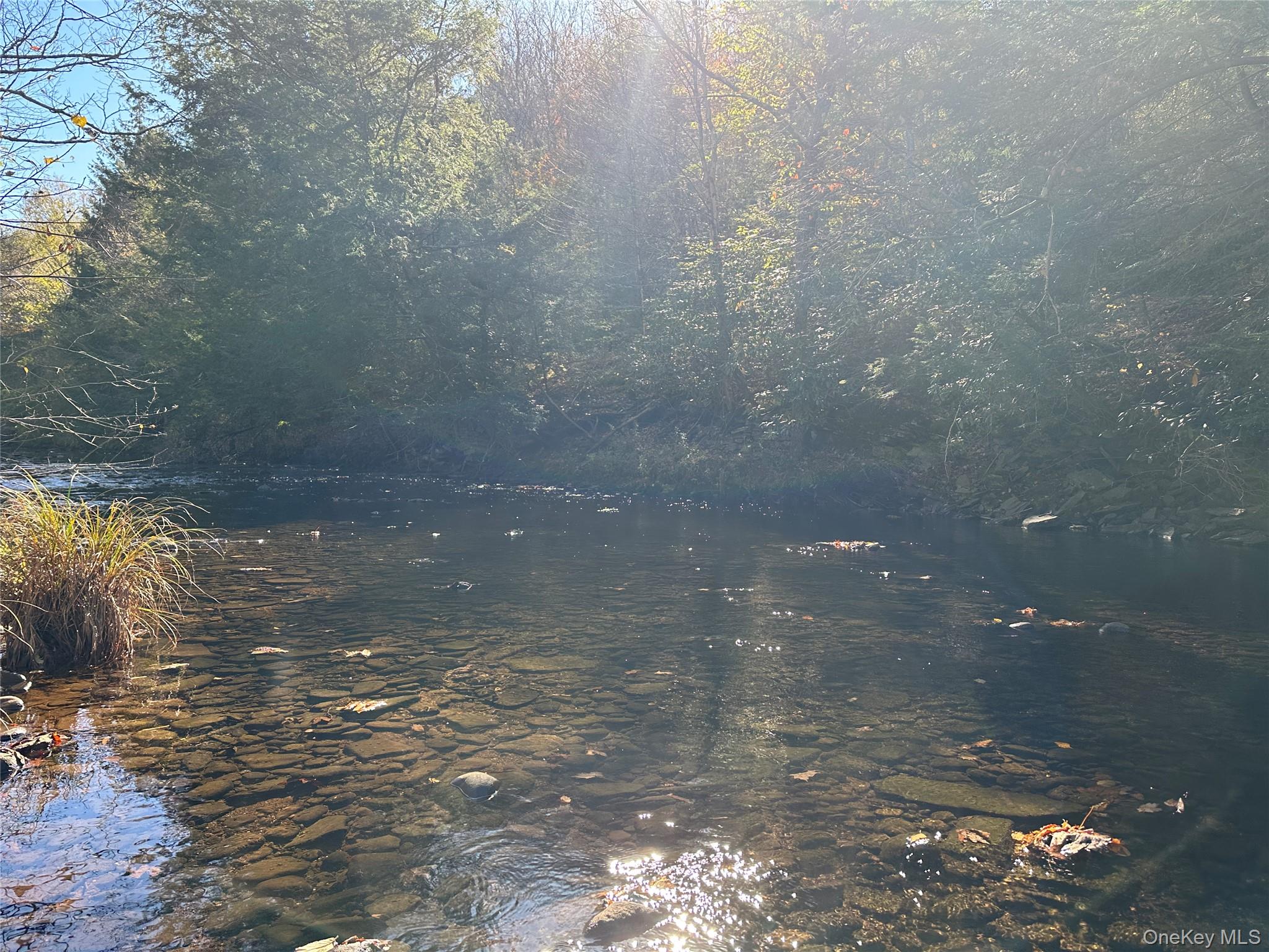 00 Old Route 17, Livingston Manor, NY 12758