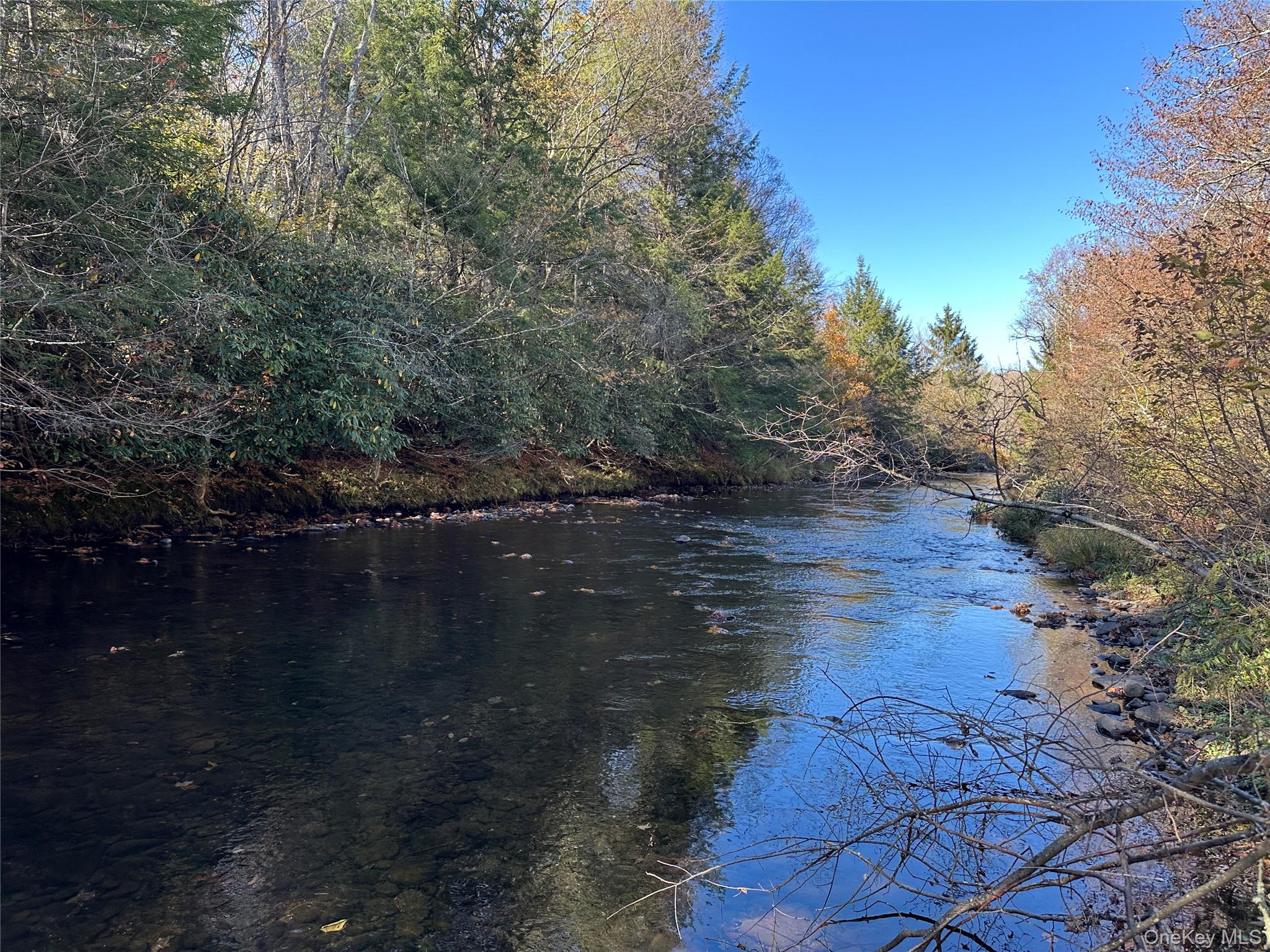 00 Old Route 17, Livingston Manor, NY 12758