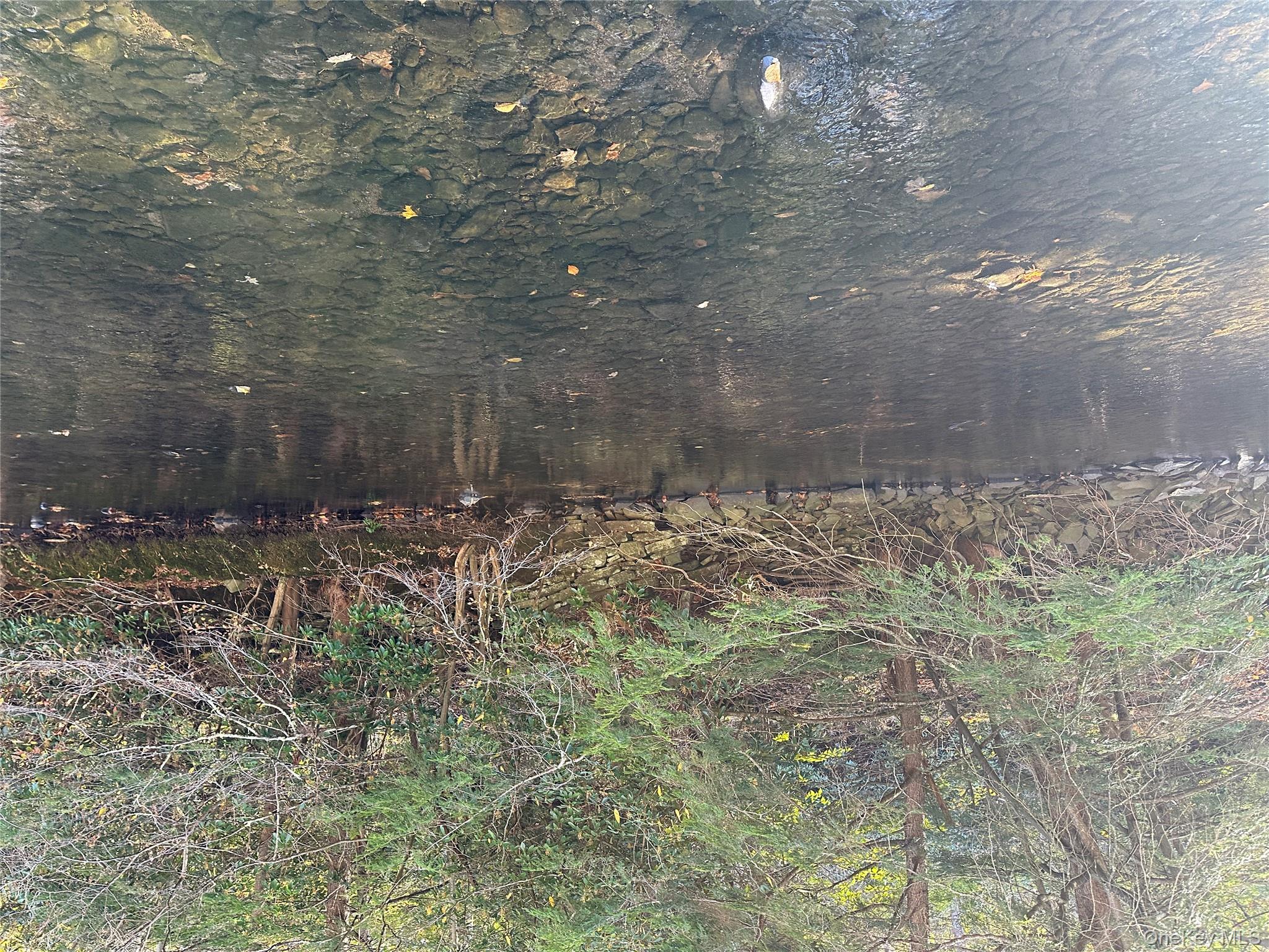 00 Old Route 17, Livingston Manor, NY 12758