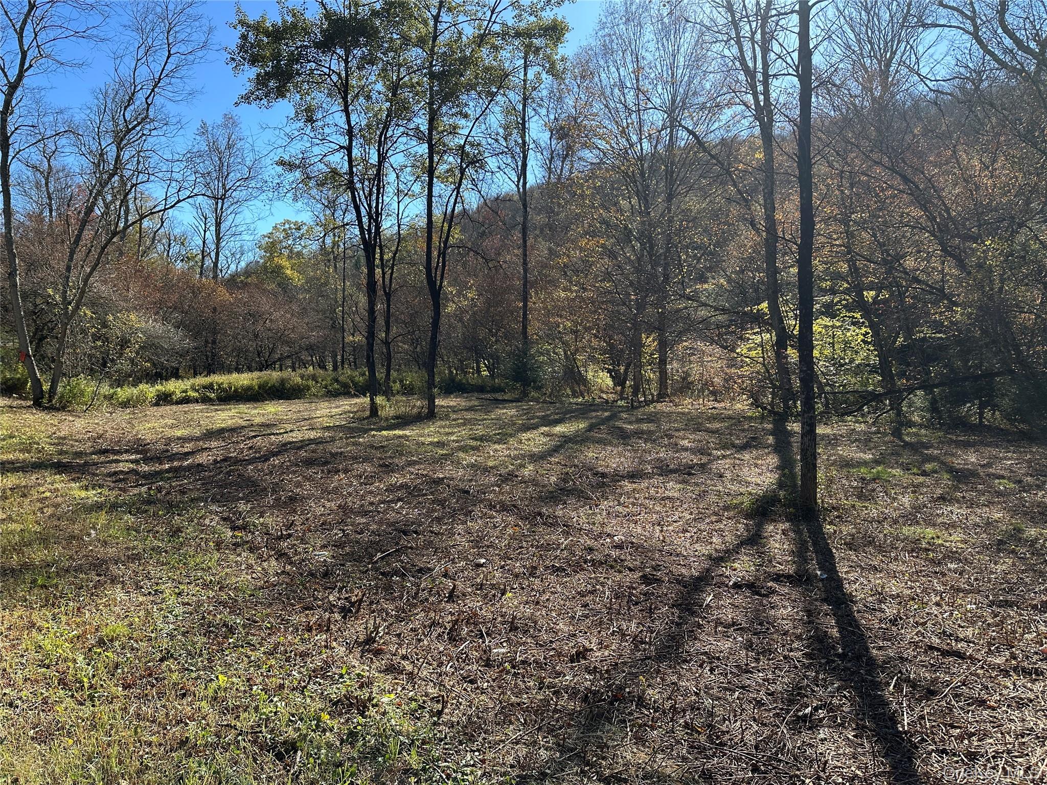 00 Old Route 17, Livingston Manor, NY 12758