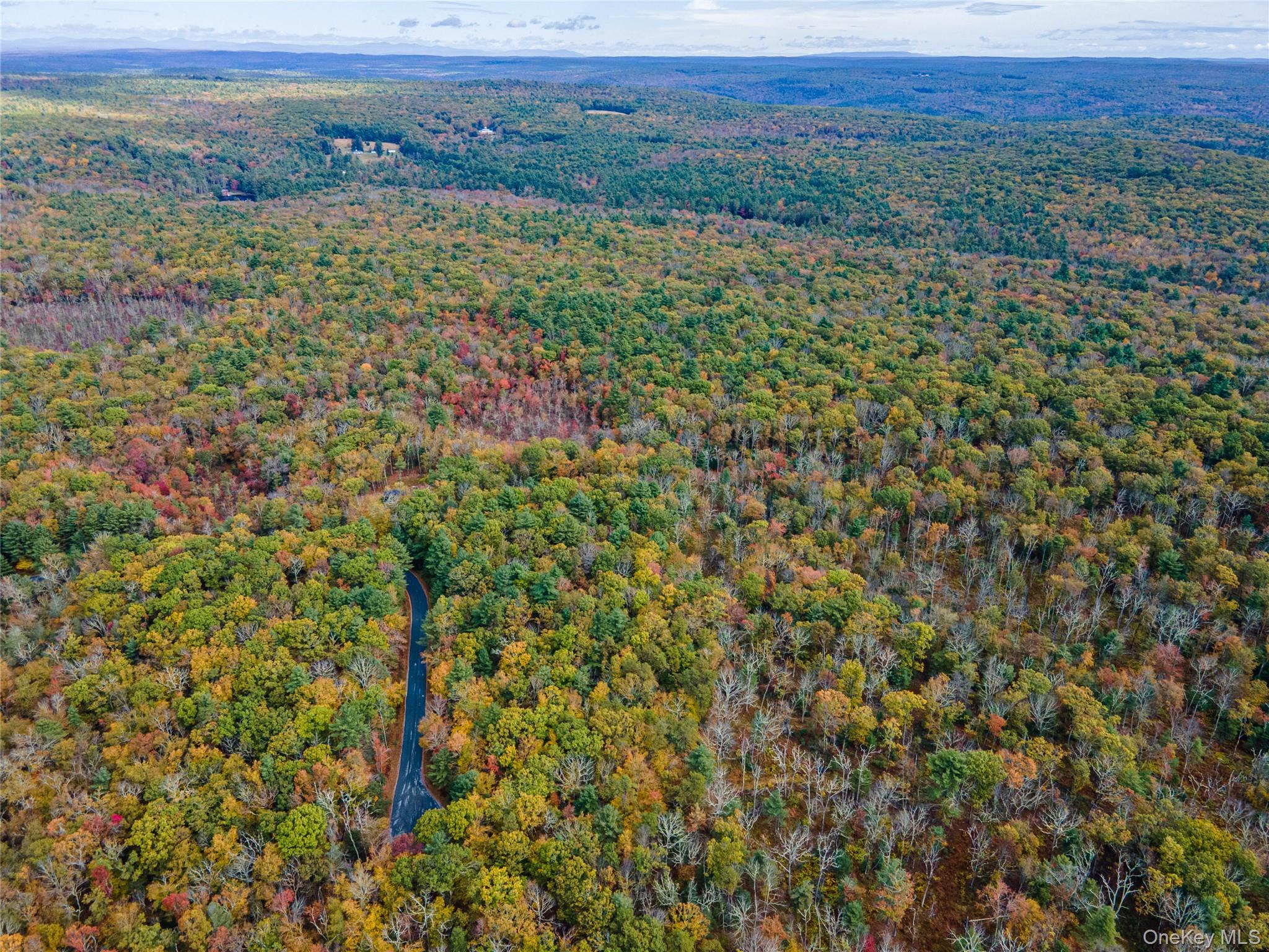 Taras Schevchenko (Lot 24) Road, Glen Spey, NY 12737