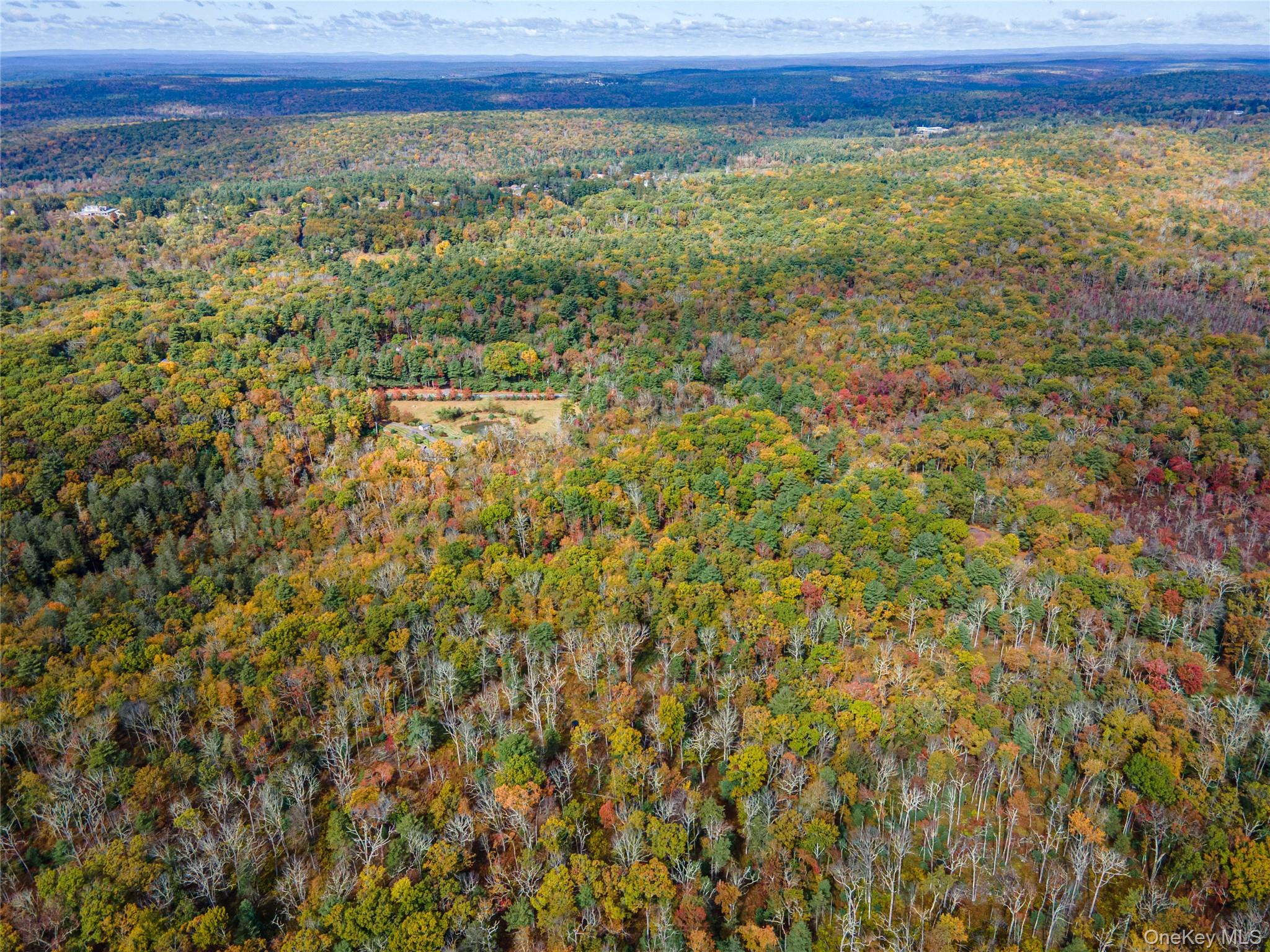 Taras Schevchenko (Lot 24) Road, Glen Spey, NY 12737