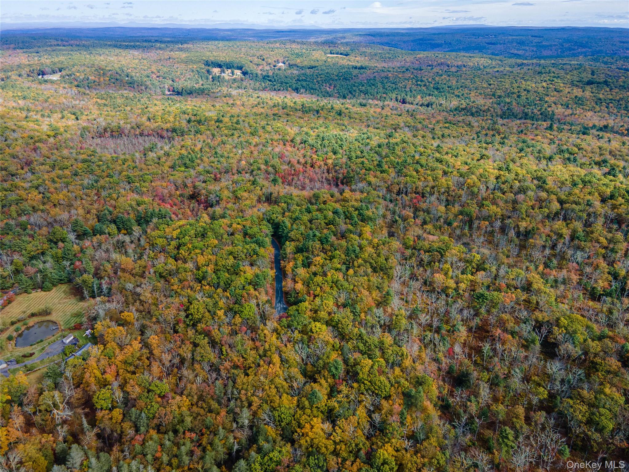 Taras Schevchenko (Lot 24) Road, Glen Spey, NY 12737