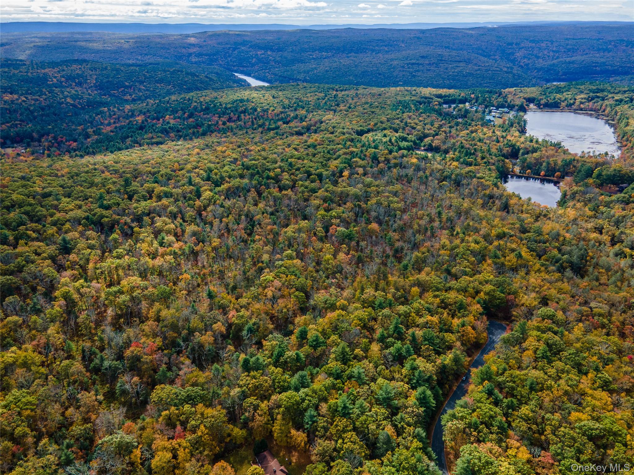 Taras Schevchenko (Lot 24) Road, Glen Spey, NY 12737