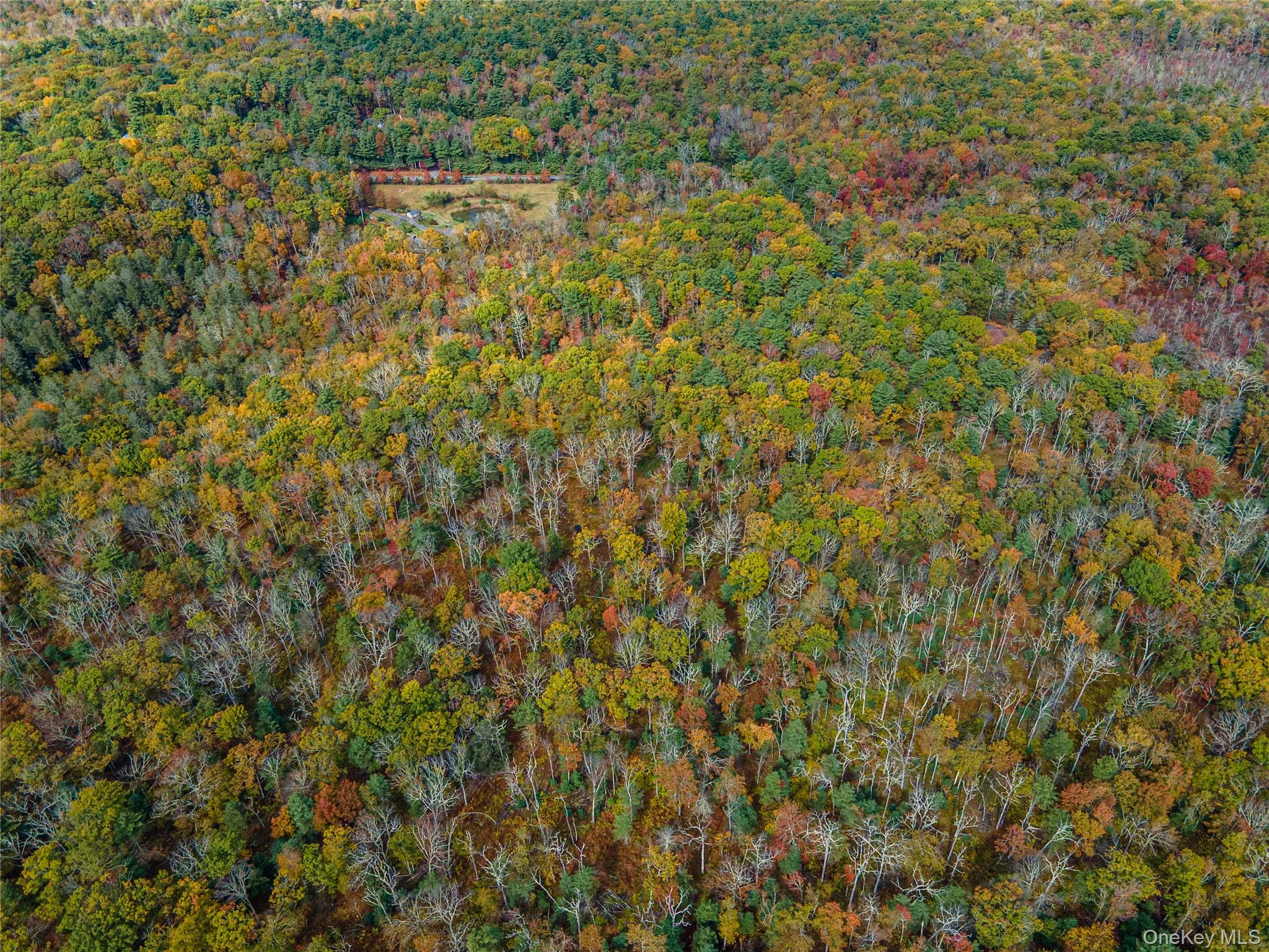 Taras Schevchenko (Lot 24) Road, Glen Spey, NY 12737