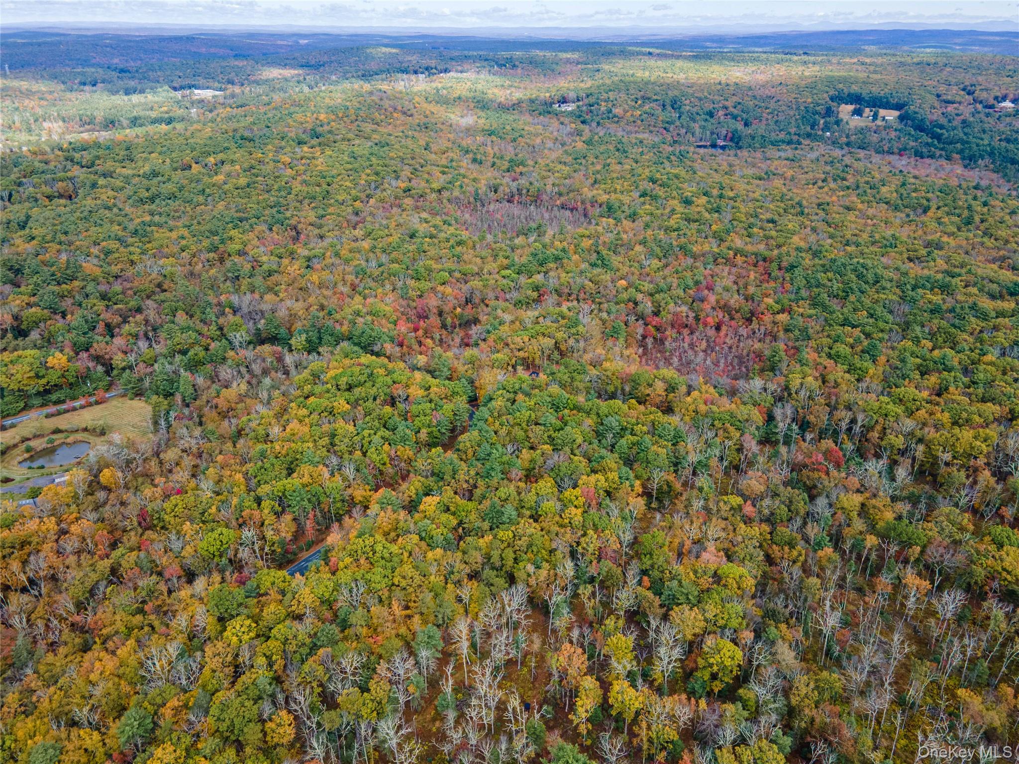 Taras Schevchenko (Lot 24) Road, Glen Spey, NY 12737