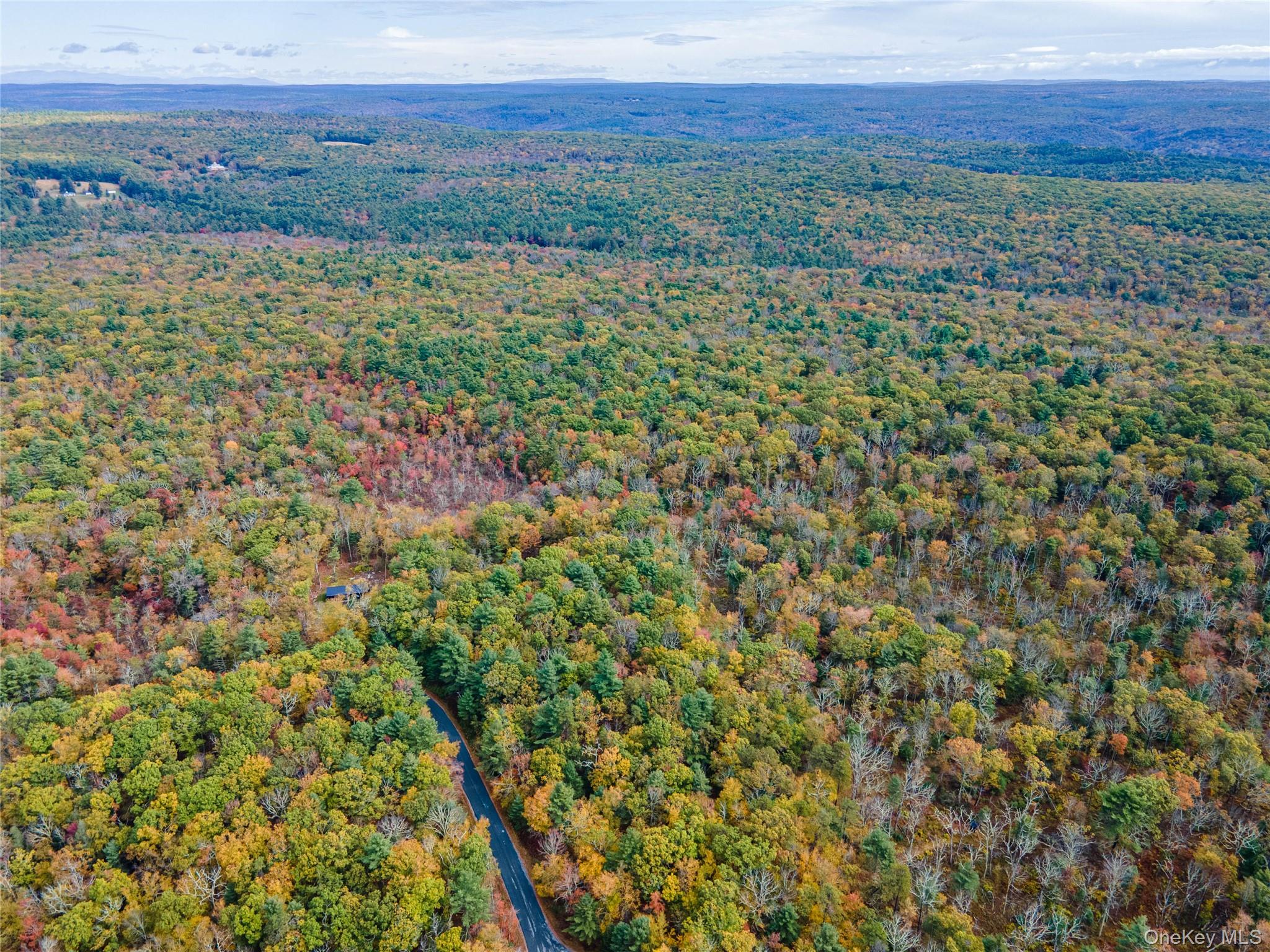 Taras Schevchenko (Lot 24) Road, Glen Spey, NY 12737