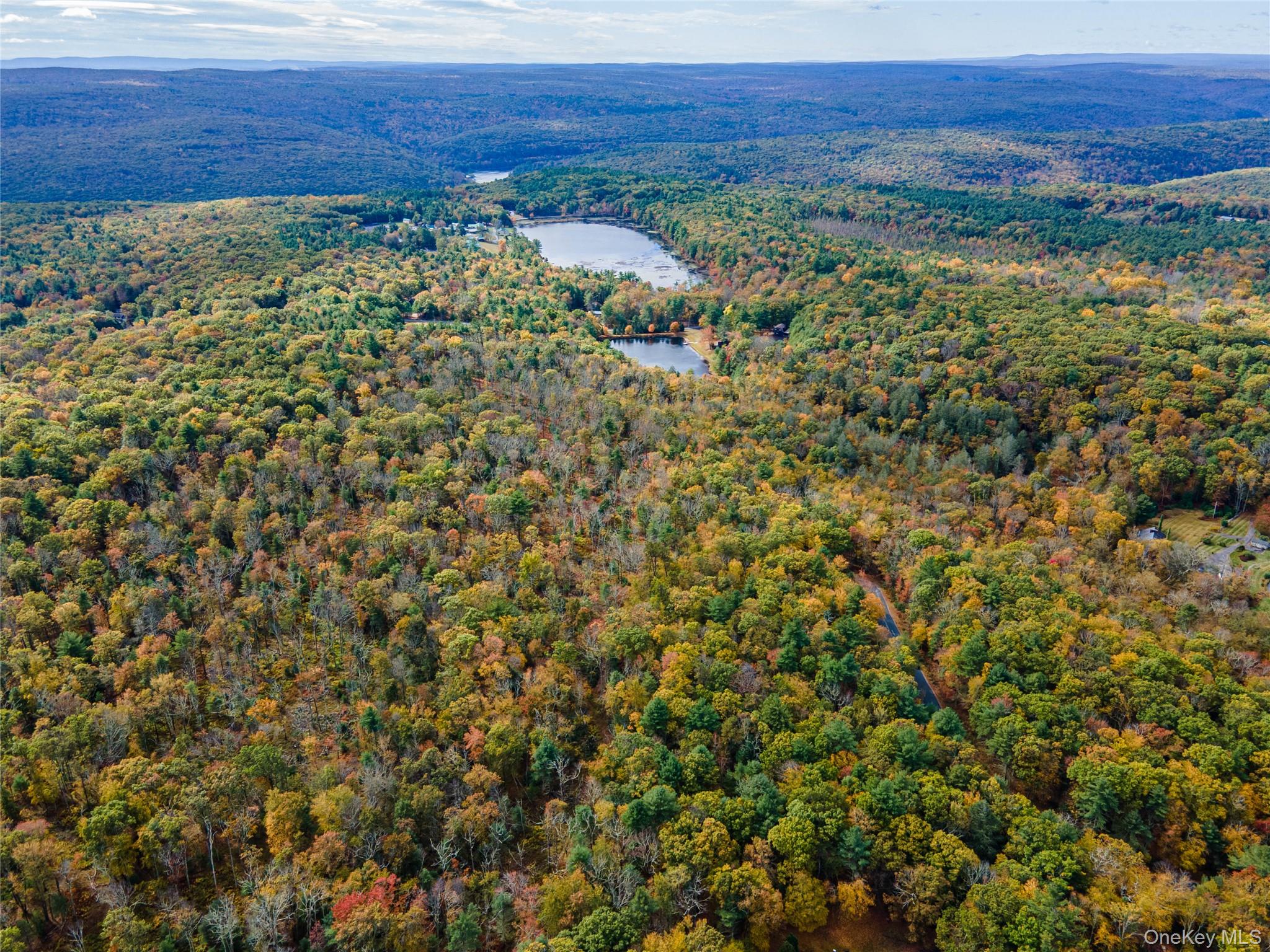 Taras Schevchenko (Lot 24) Road, Glen Spey, NY 12737