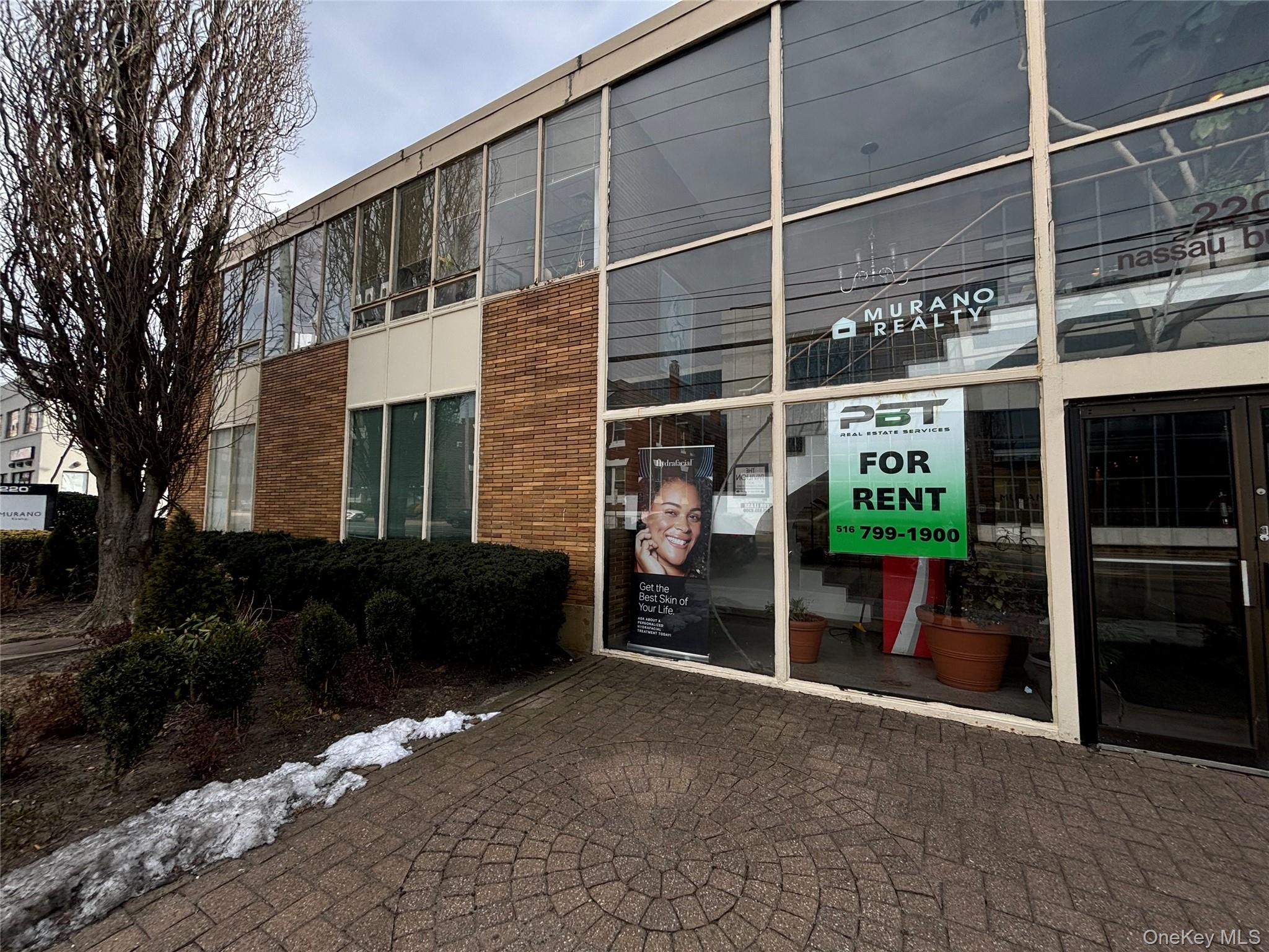 220 Old Country Road, Mineola, NY 11501