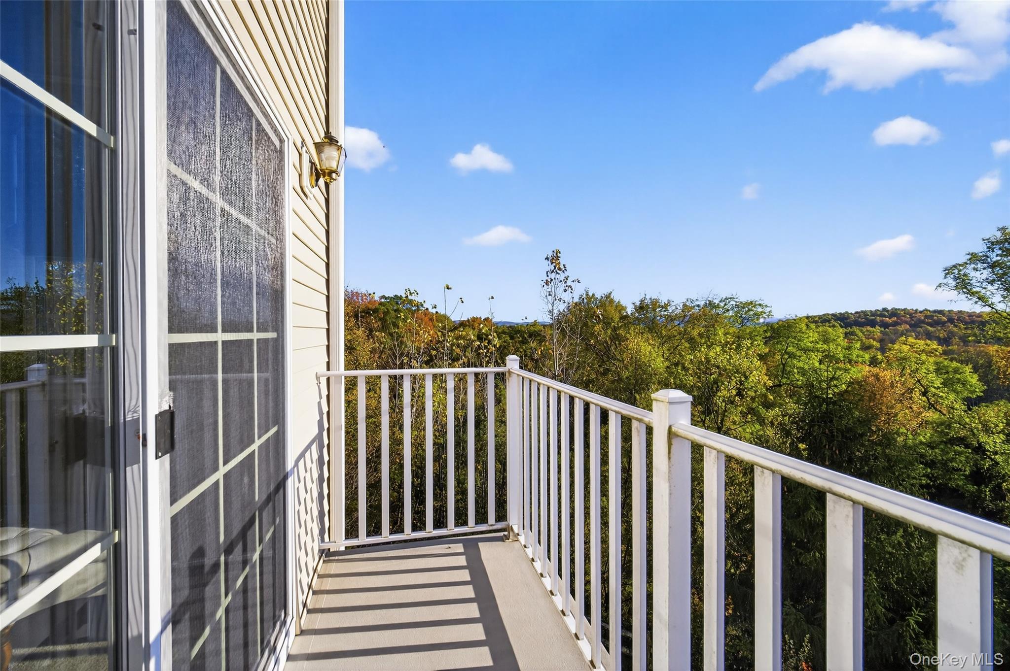 1313 Balsam Drive, New Windsor, NY 12553