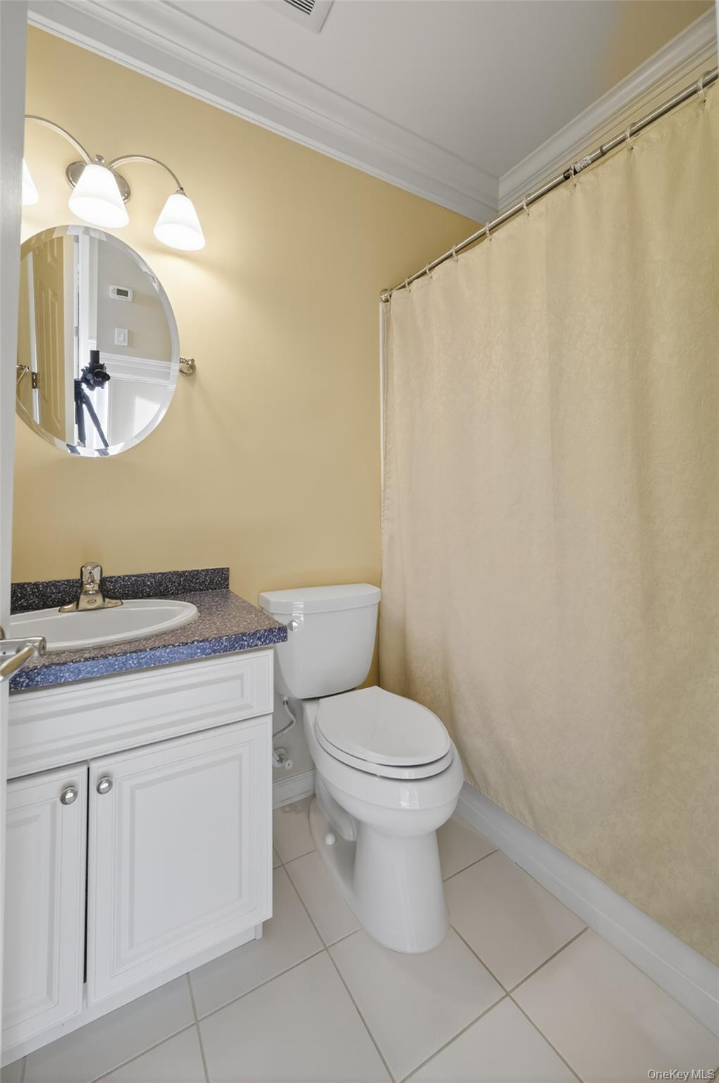 1313 Balsam Drive, New Windsor, NY 12553