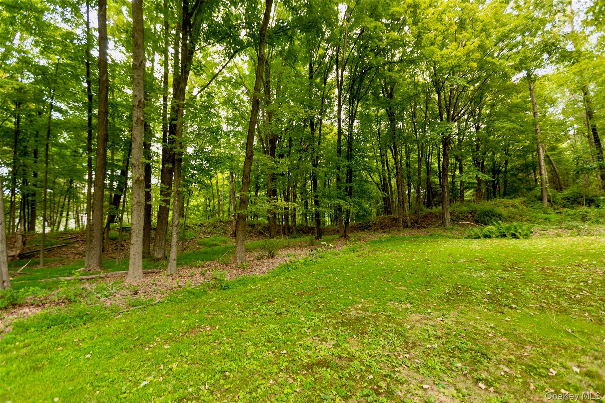 424 Tongore Way, Stone Ridge, NY 12401