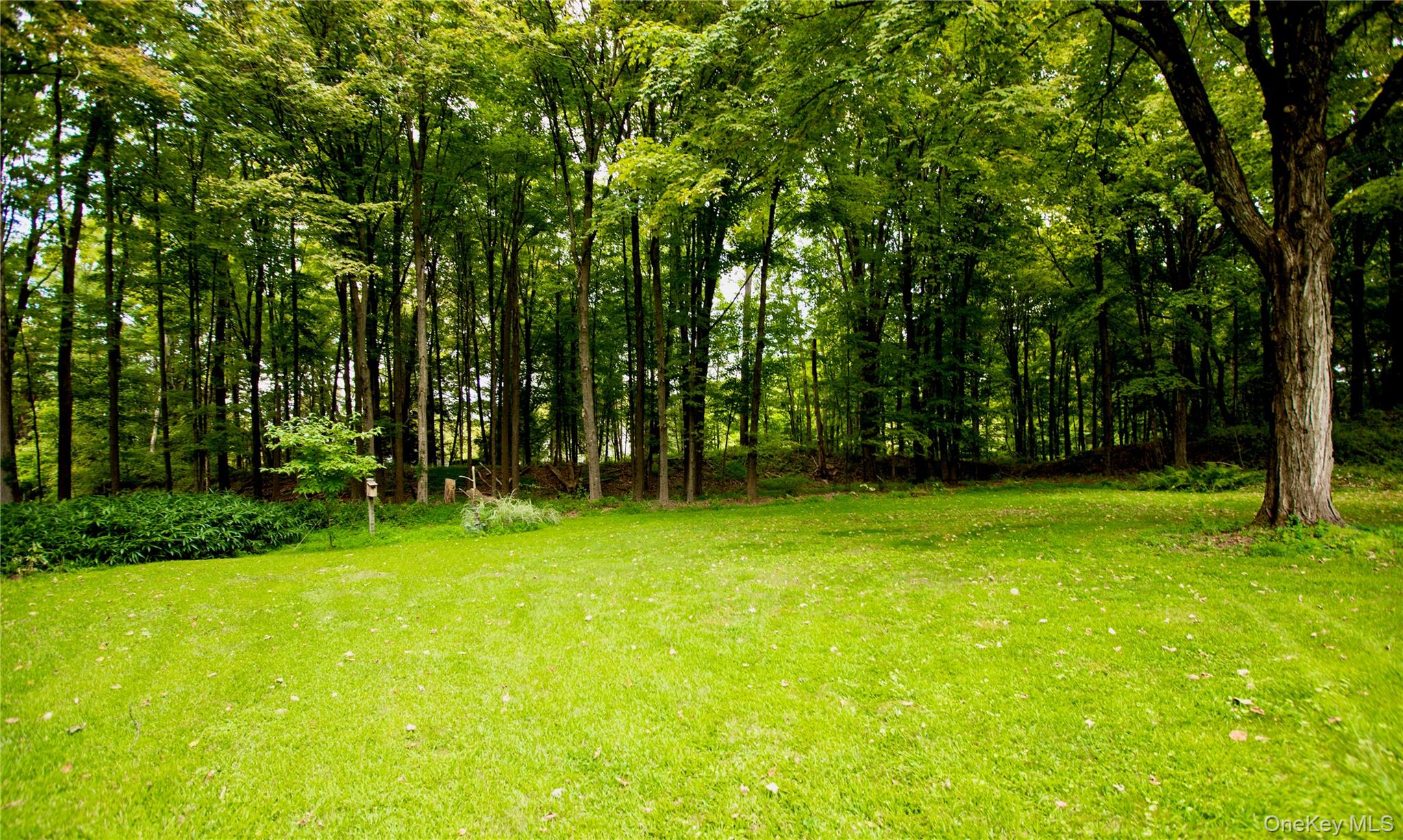 424 Tongore Way, Stone Ridge, NY 12401