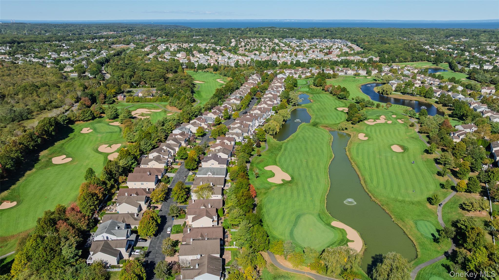 169 Hamlet Drive, Mount Sinai, NY 11766