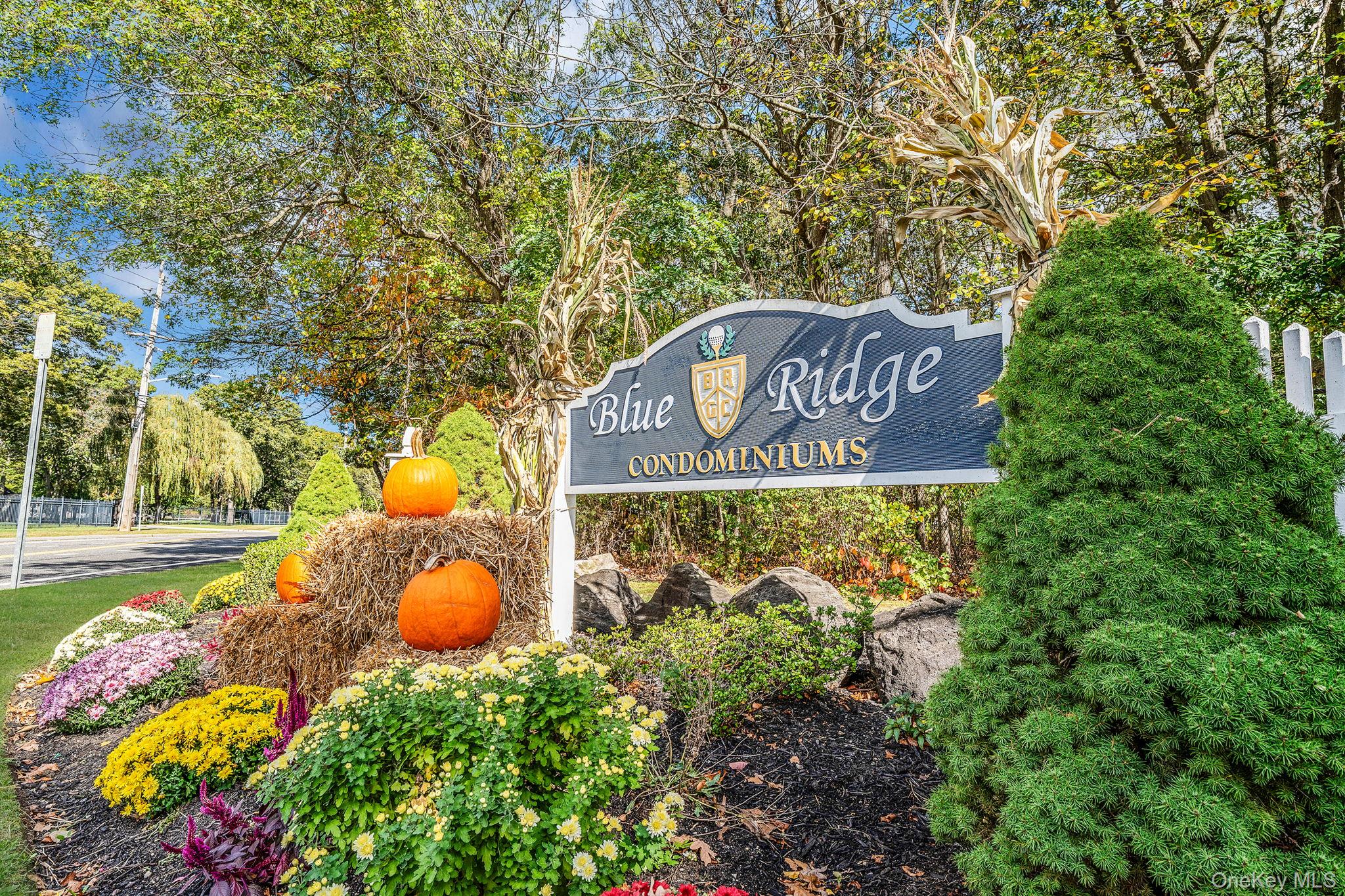 862 Birchwood Road, Medford, NY 11763