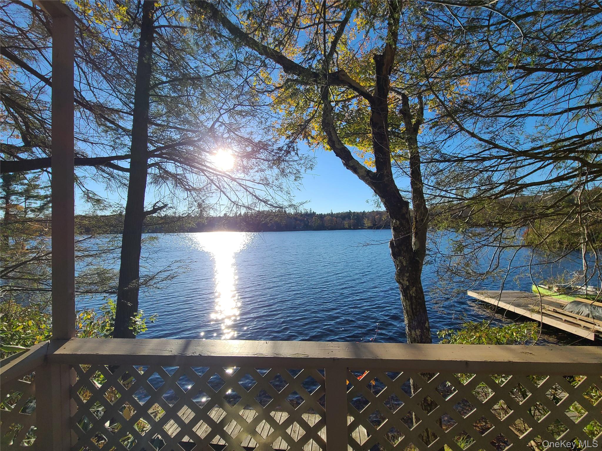 106 Park Drive, Parksville, NY 12768