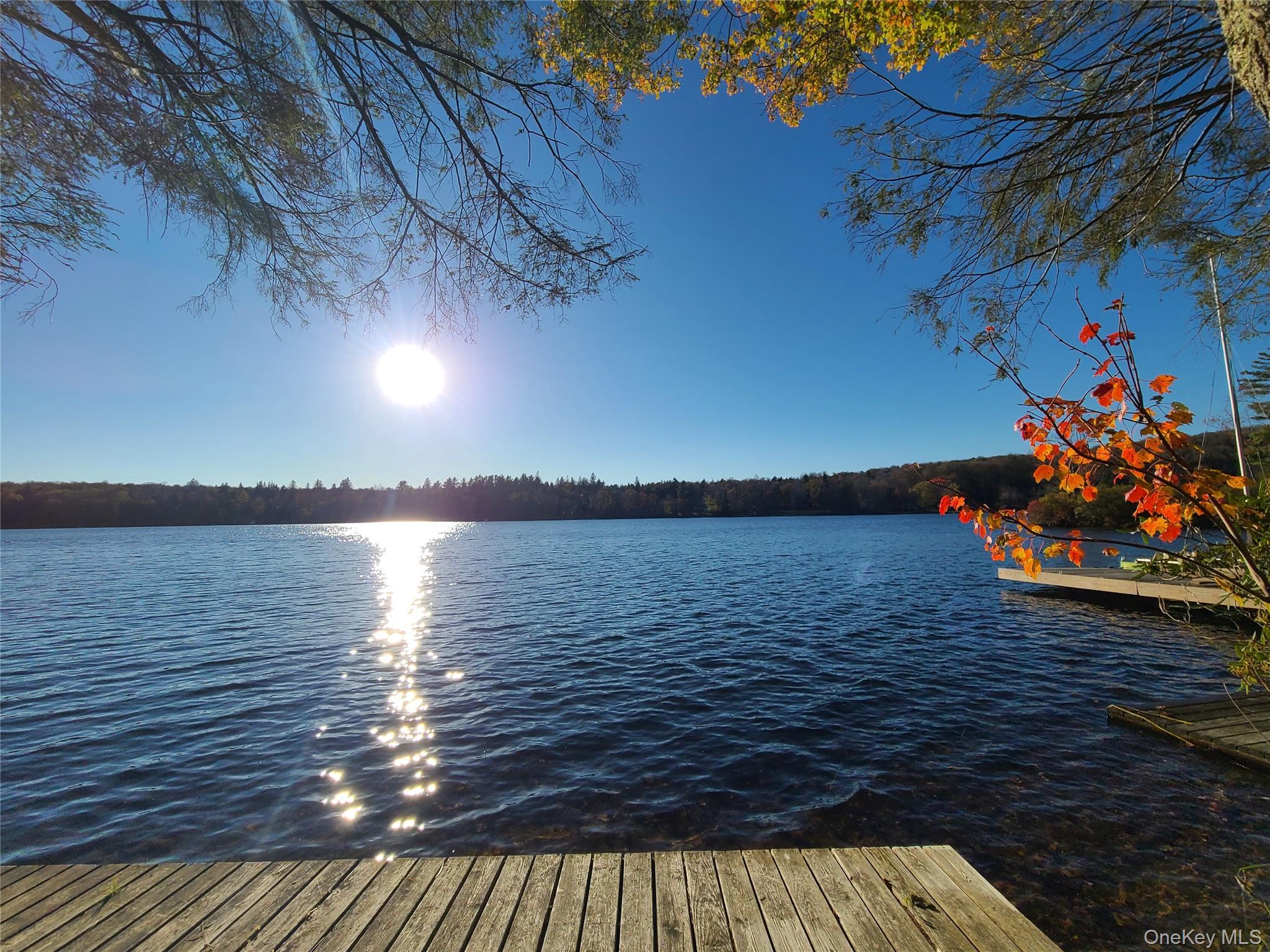 106 Park Drive, Parksville, NY 12768