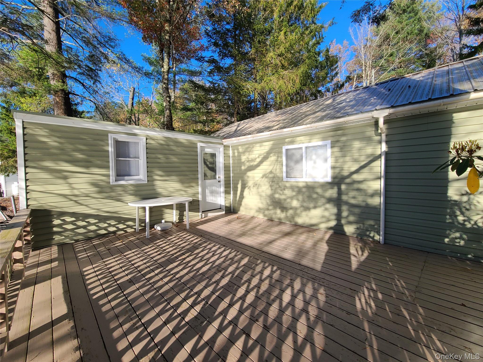 106 Park Drive, Parksville, NY 12768