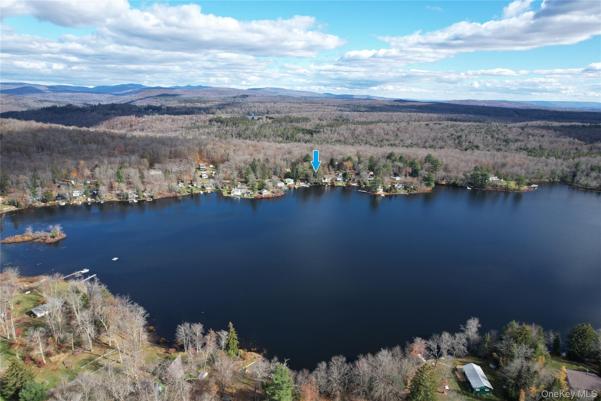 106 Park Drive, Parksville, NY 12768