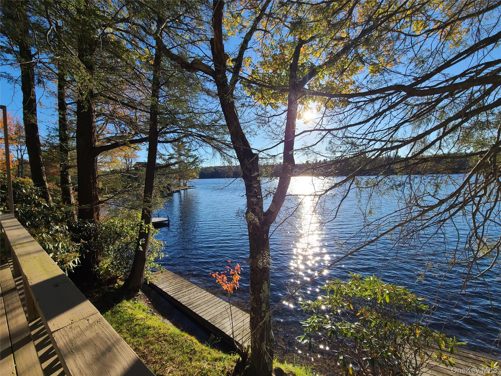 106 Park Drive, Parksville, NY 12768