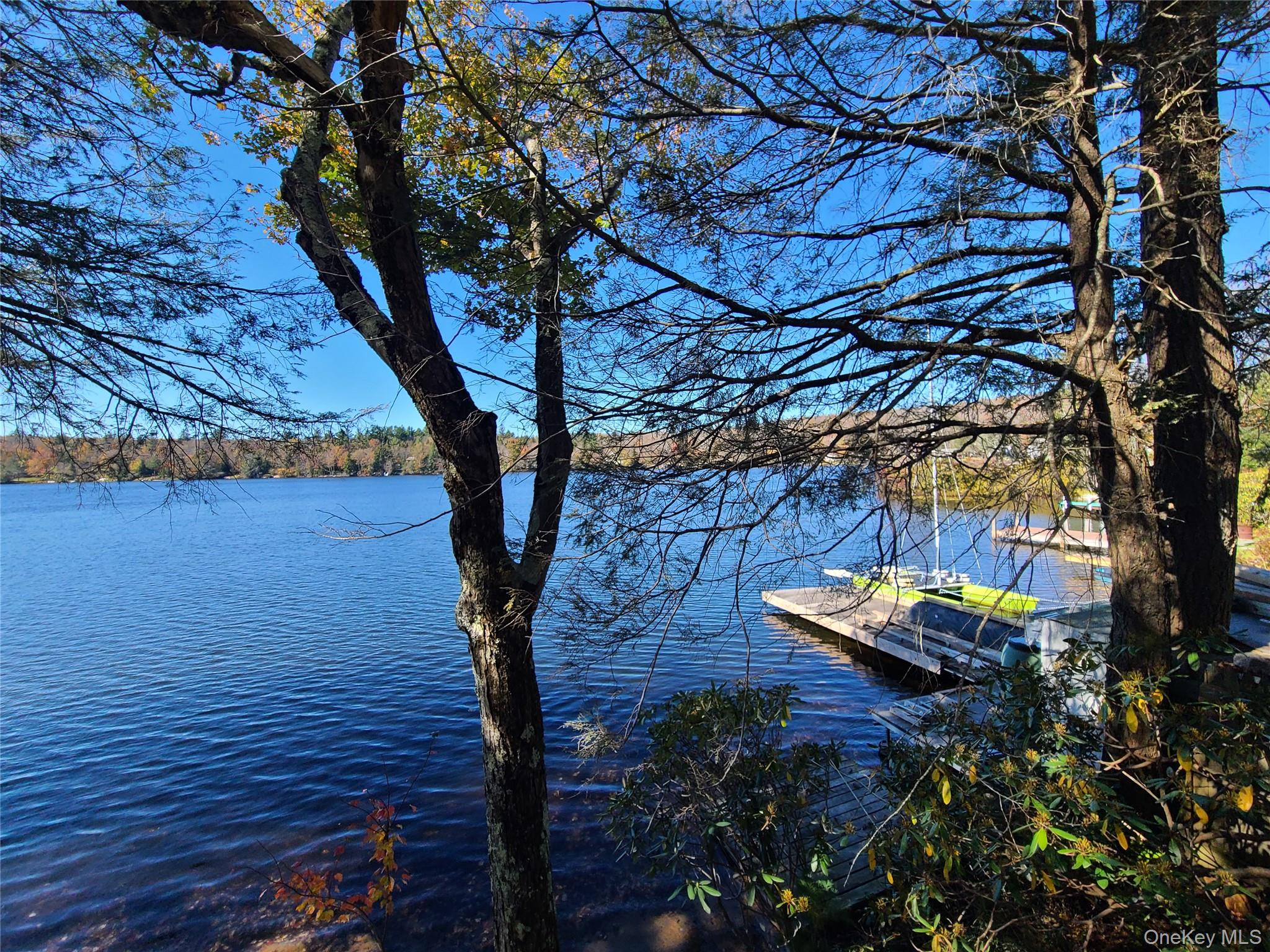 106 Park Drive, Parksville, NY 12768