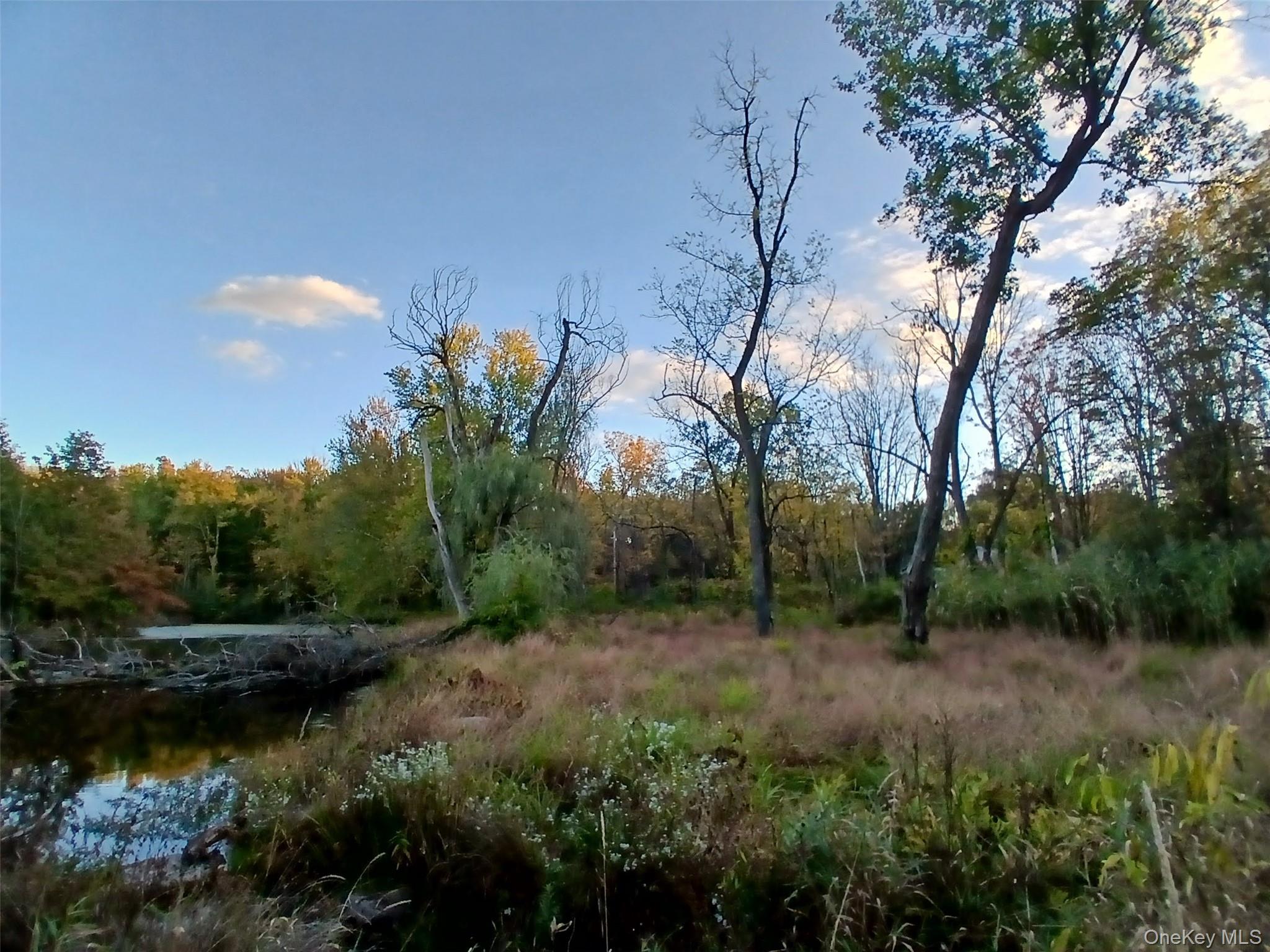 1279 State Route 94, New Windsor, NY 12553