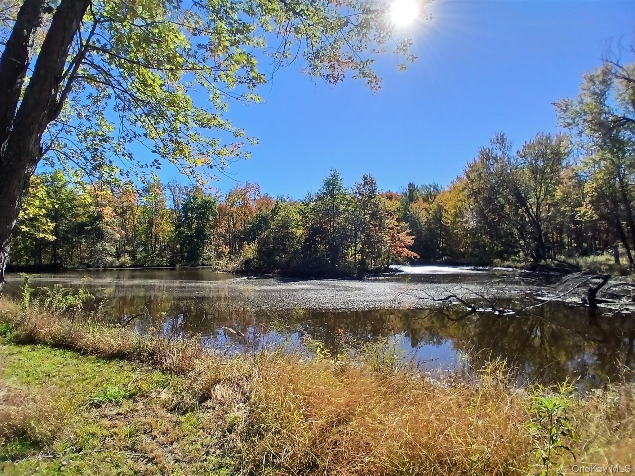 1279 State Route 94, New Windsor, NY 12553