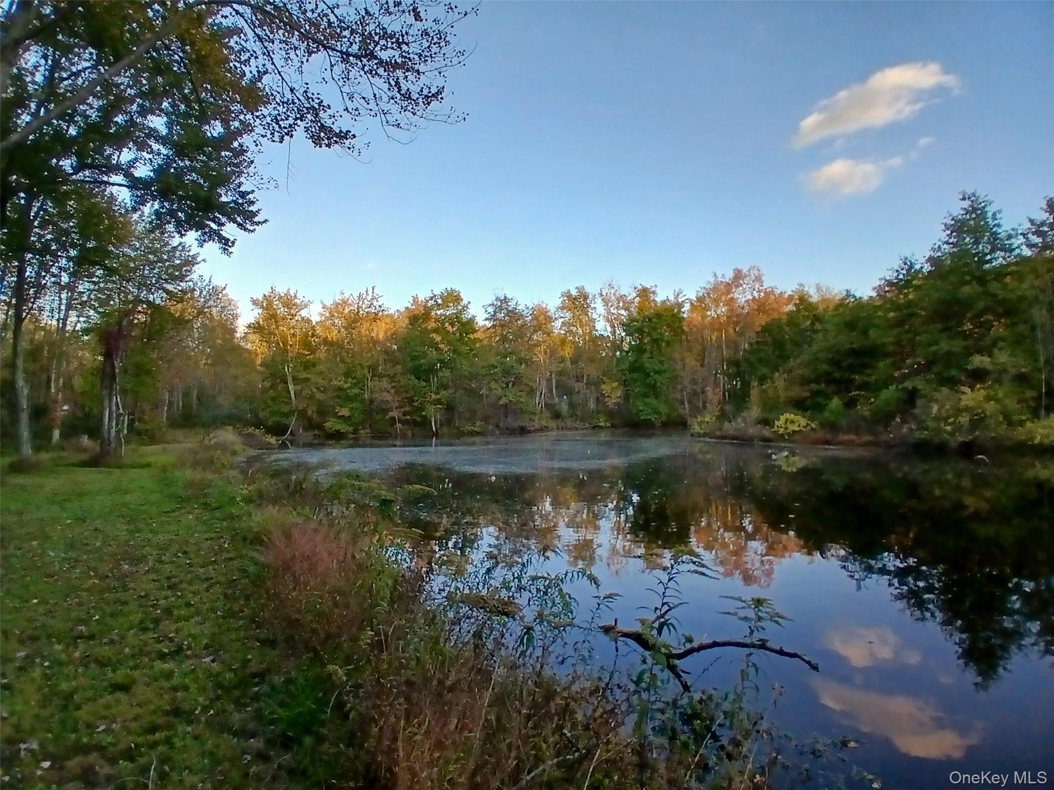 1279 State Route 94, New Windsor, NY 12553