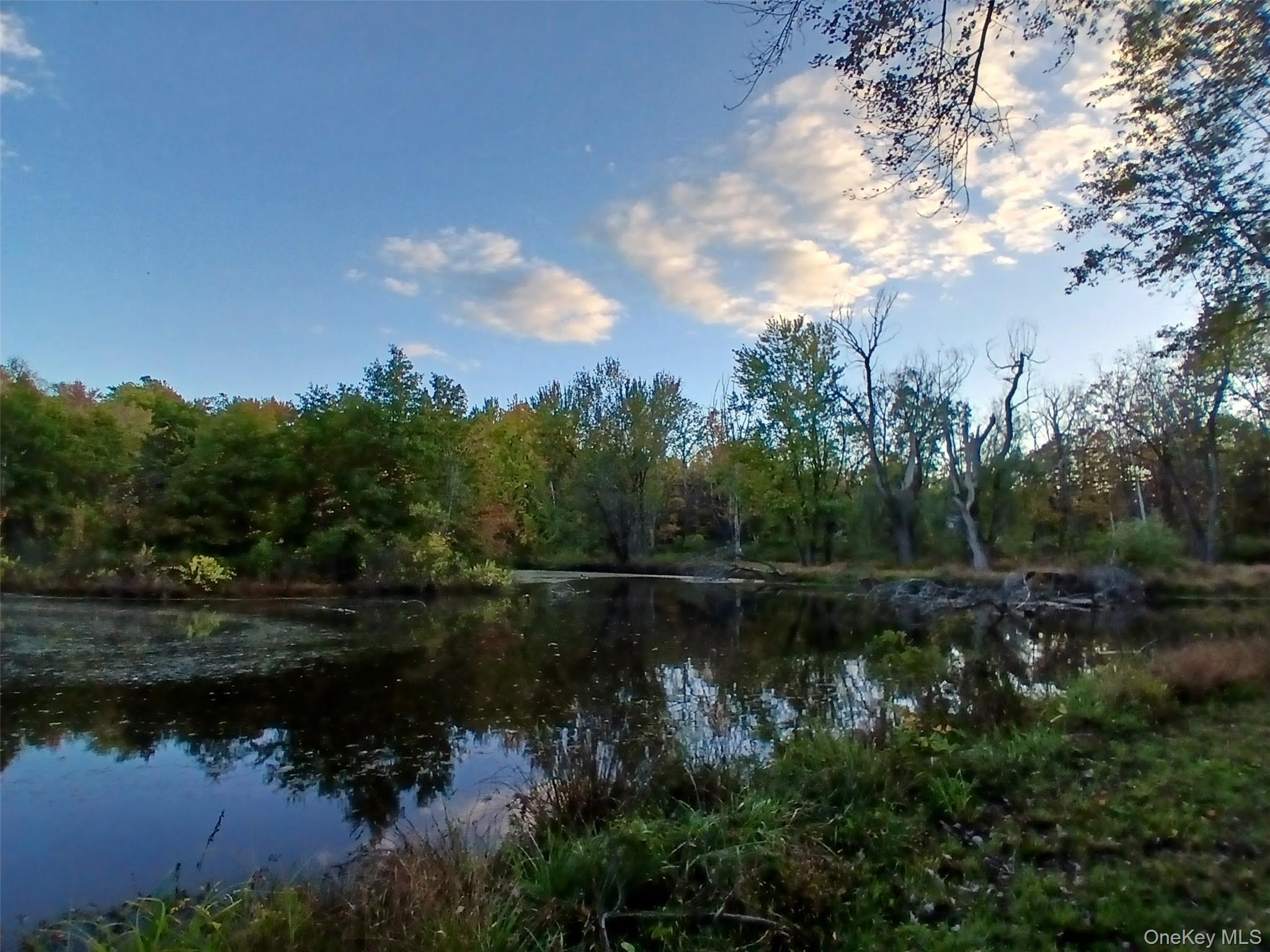 1279 State Route 94, New Windsor, NY 12553