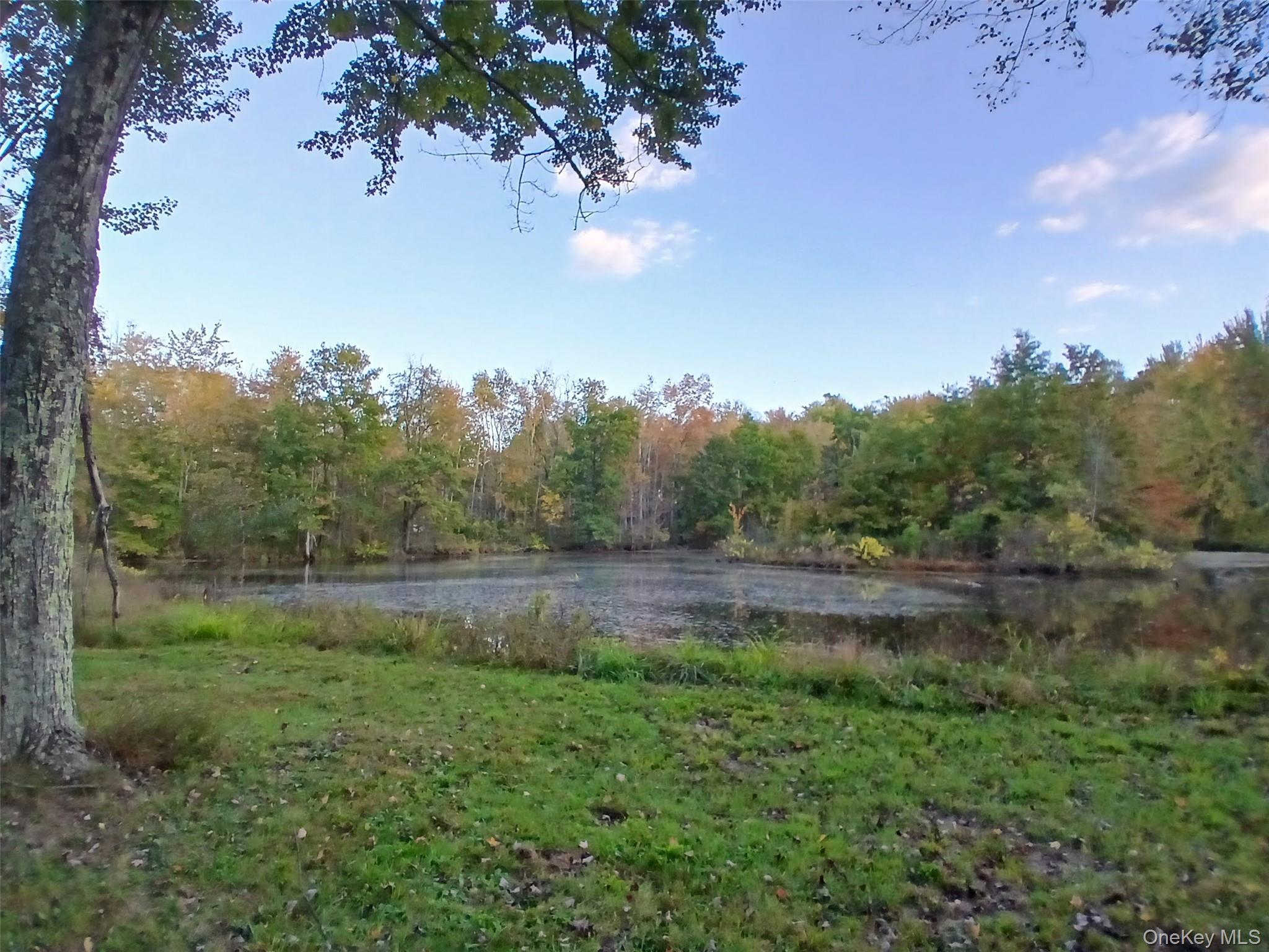 1279 State Route 94, New Windsor, NY 12553