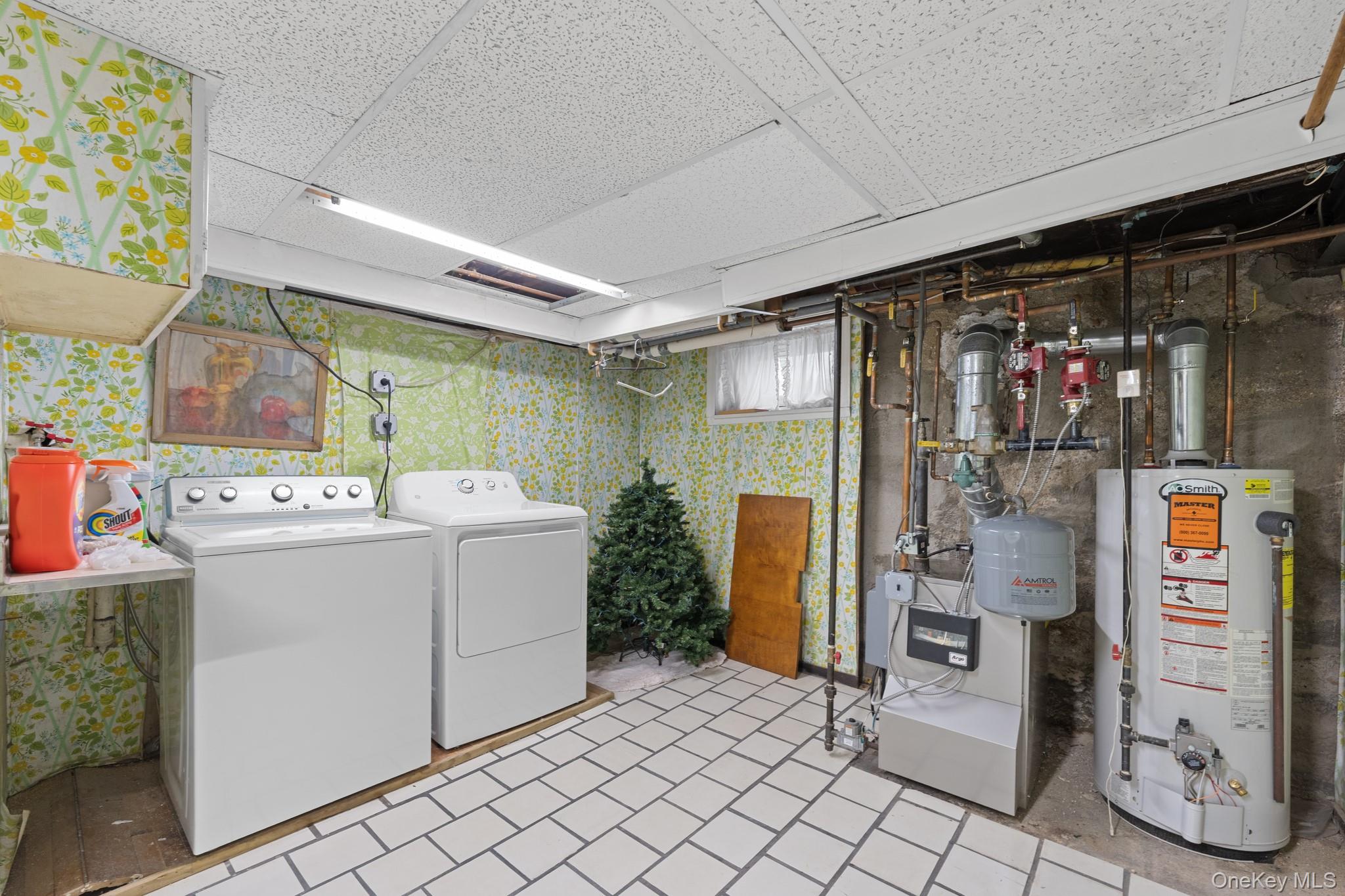 239 White Road, Mineola, NY 11501