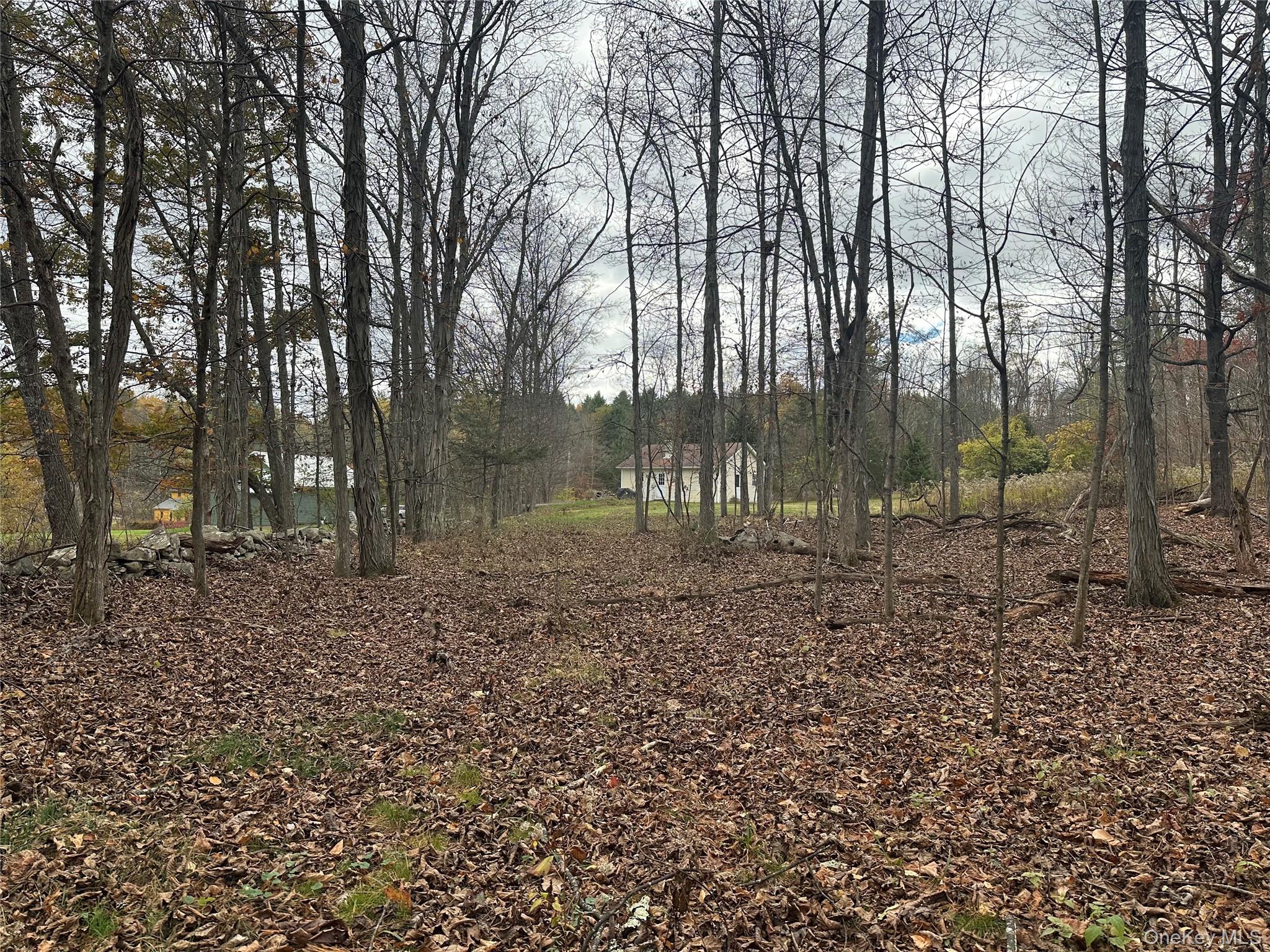 470 Edison Timmerman Road, Cairo, NY 12413