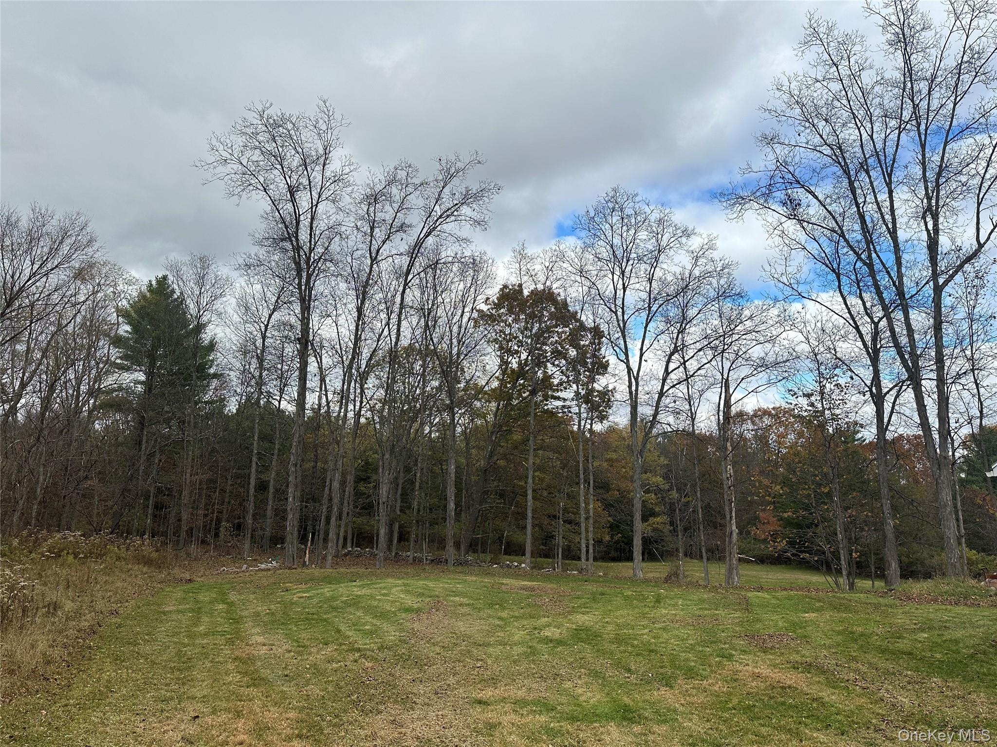 470 Edison Timmerman Road, Cairo, NY 12413