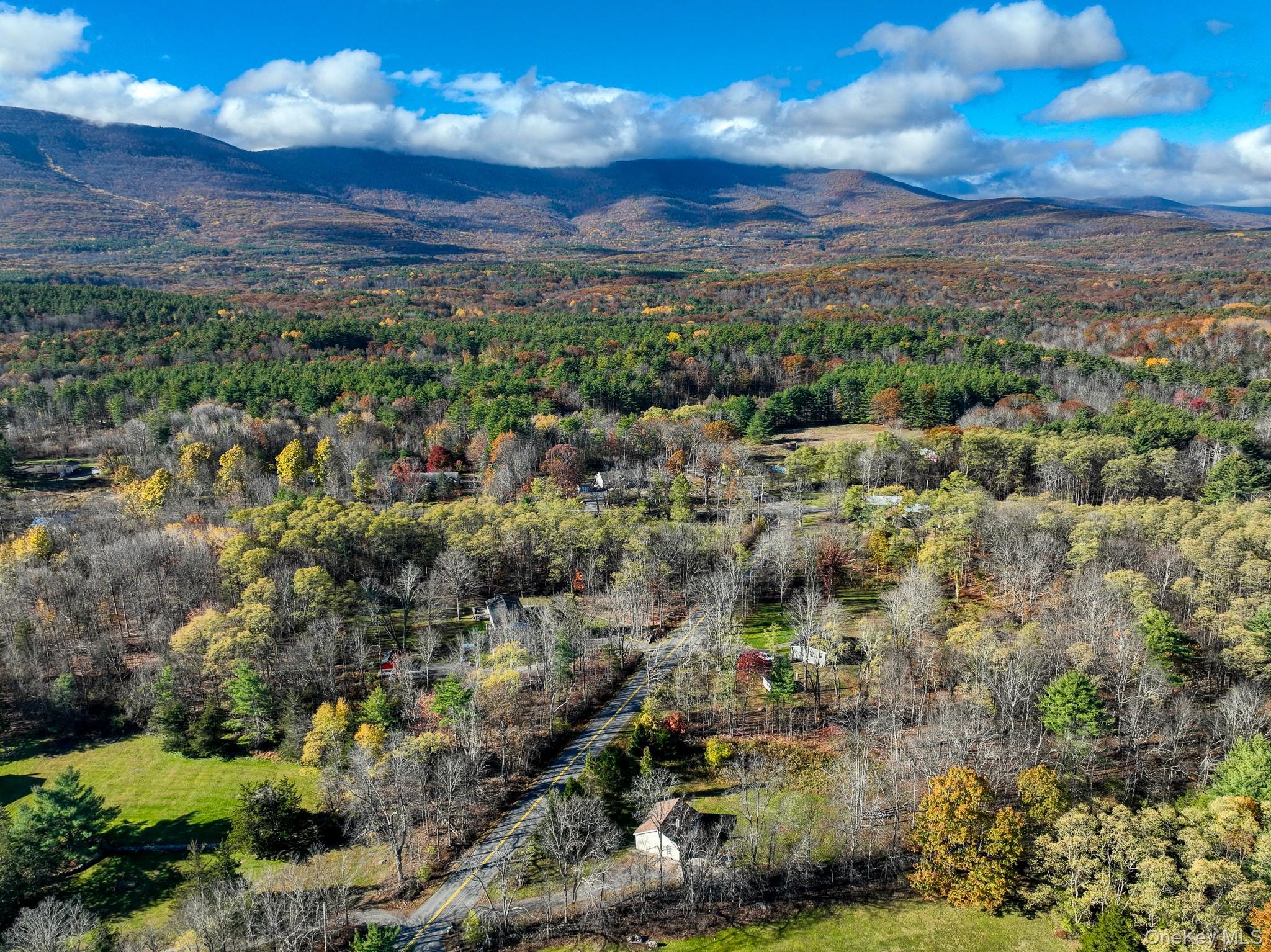 470 Edison Timmerman Road, Cairo, NY 12413