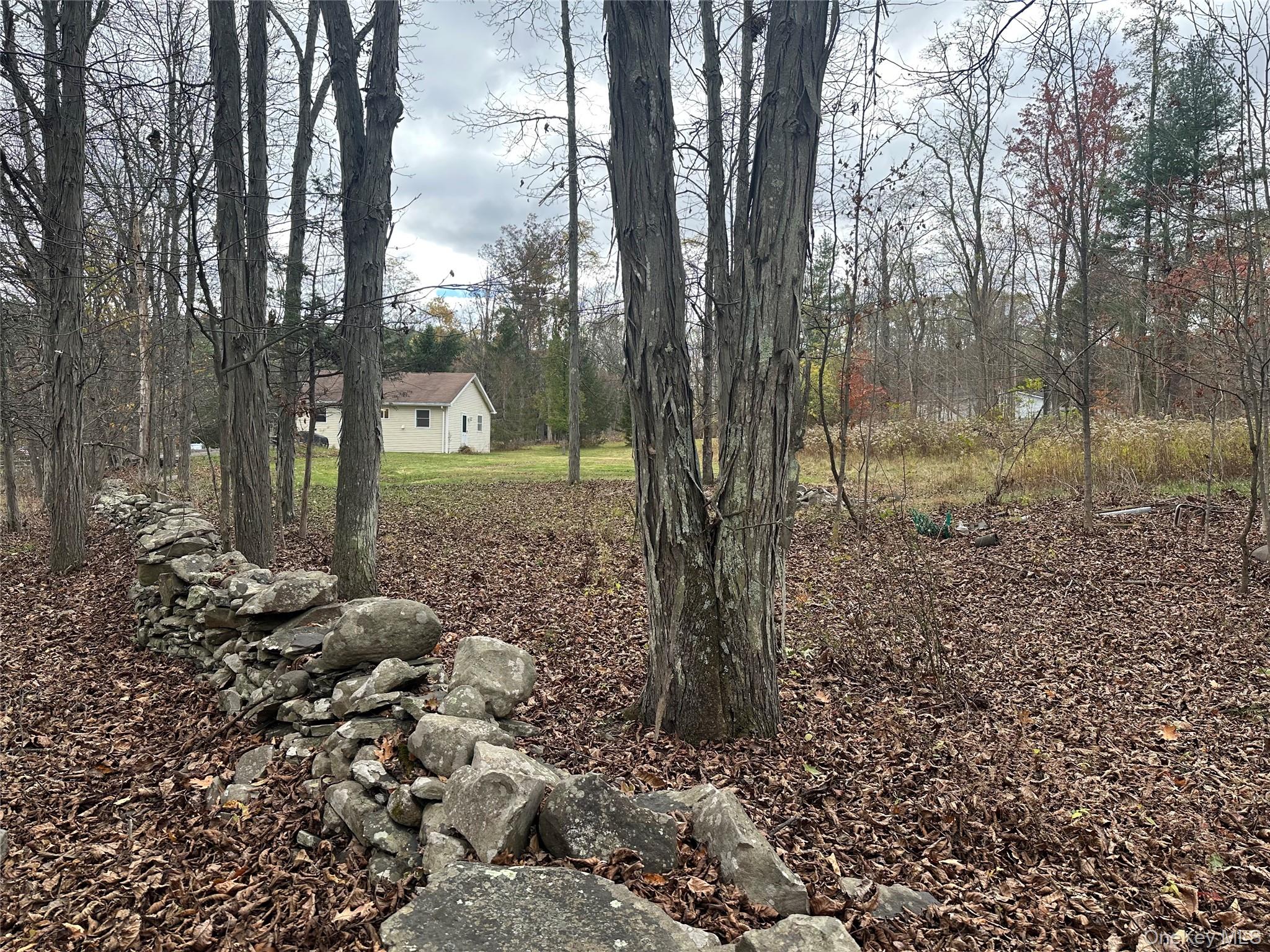 470 Edison Timmerman Road, Cairo, NY 12413