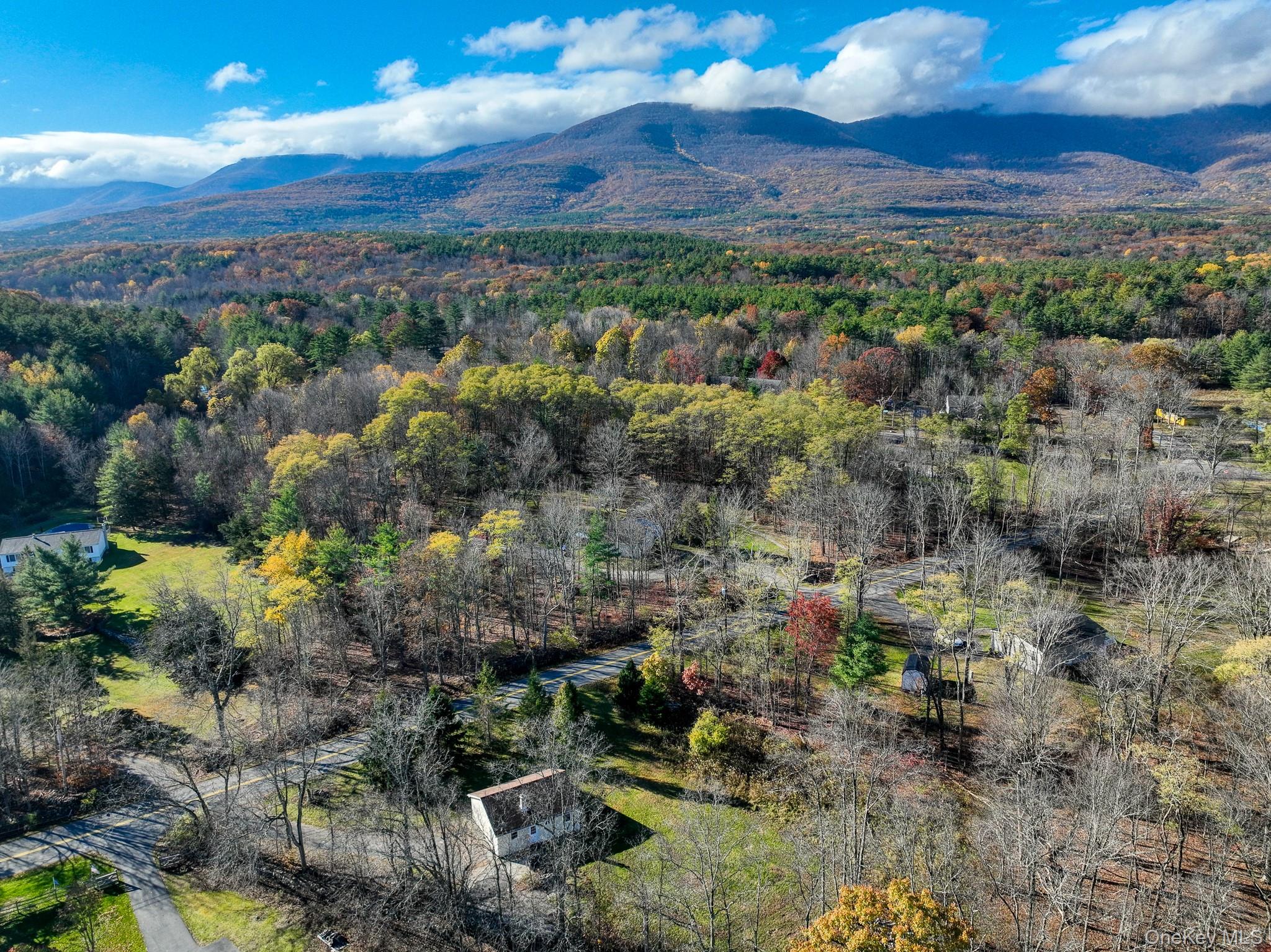 470 Edison Timmerman Road, Cairo, NY 12413