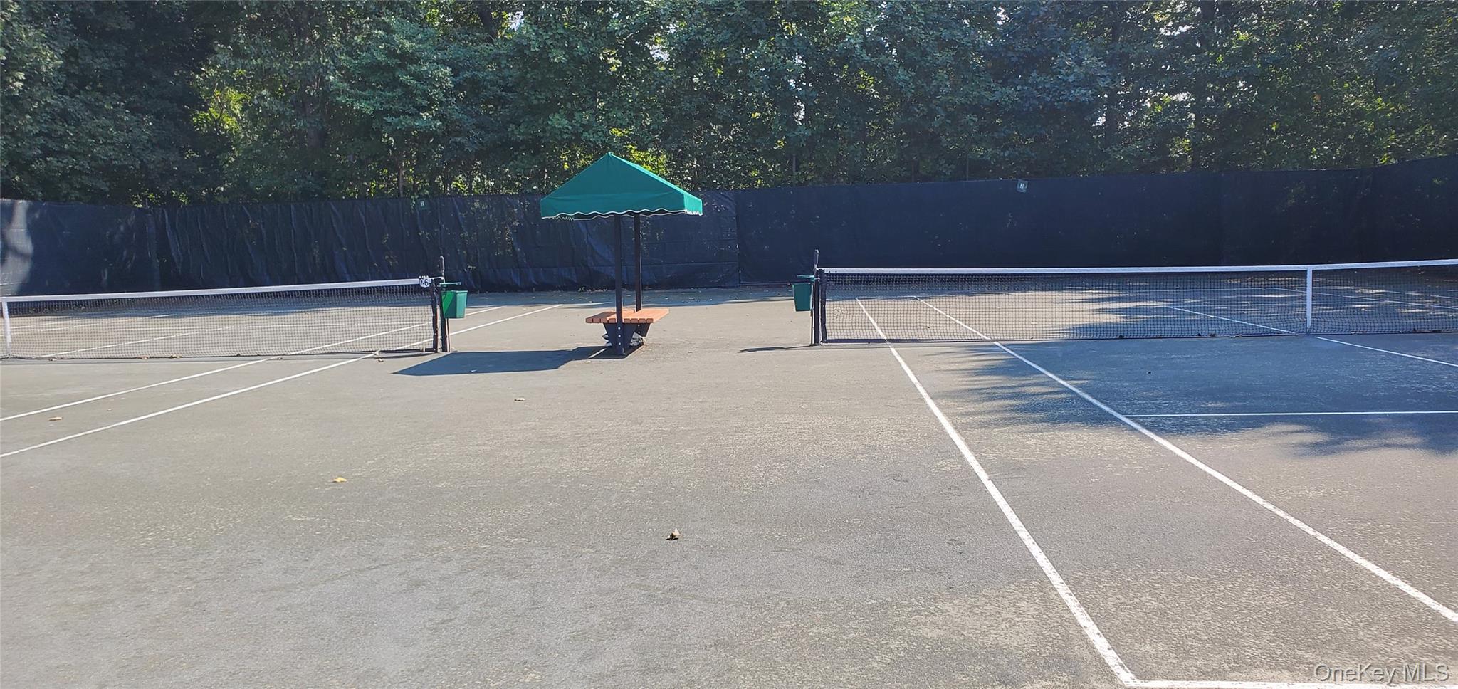 91 Duck Pond Drive, Manhasset, NY 11030